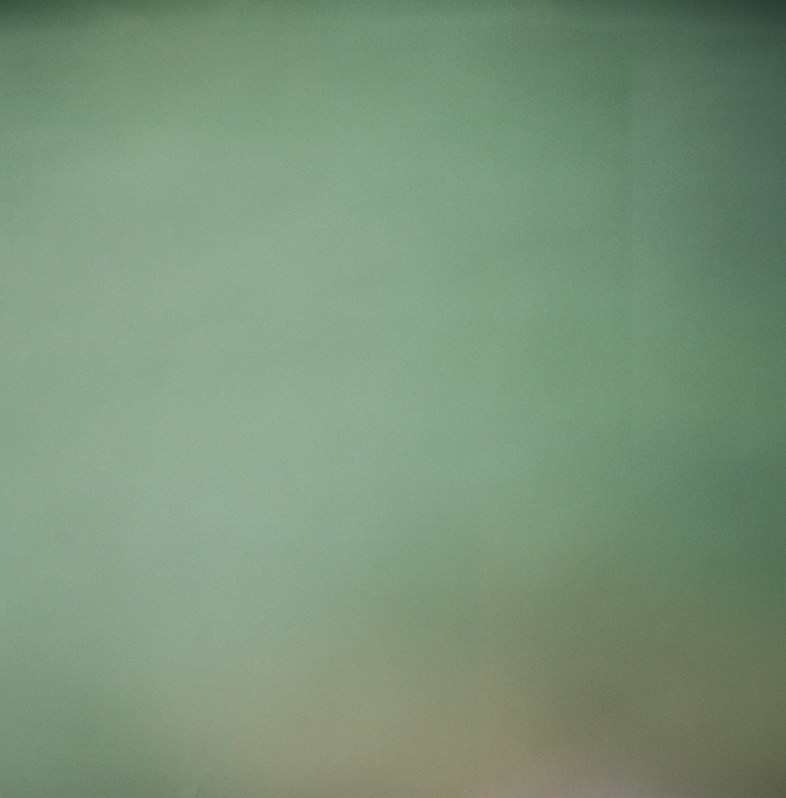 A plain, textured wall painted in shades of green.