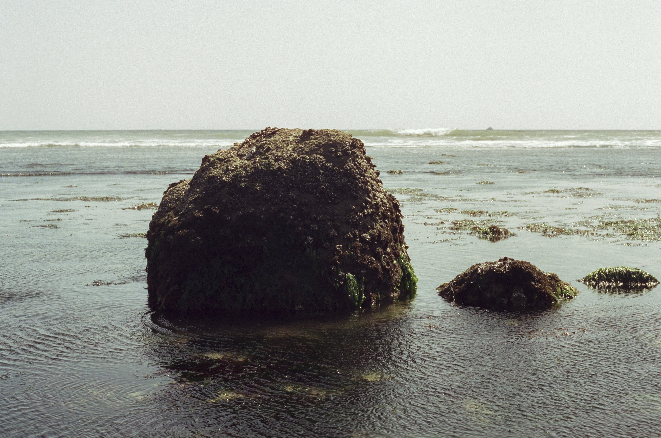 Large moss-covered rocks in shallow water at the shore with waves and the horizon in the background.