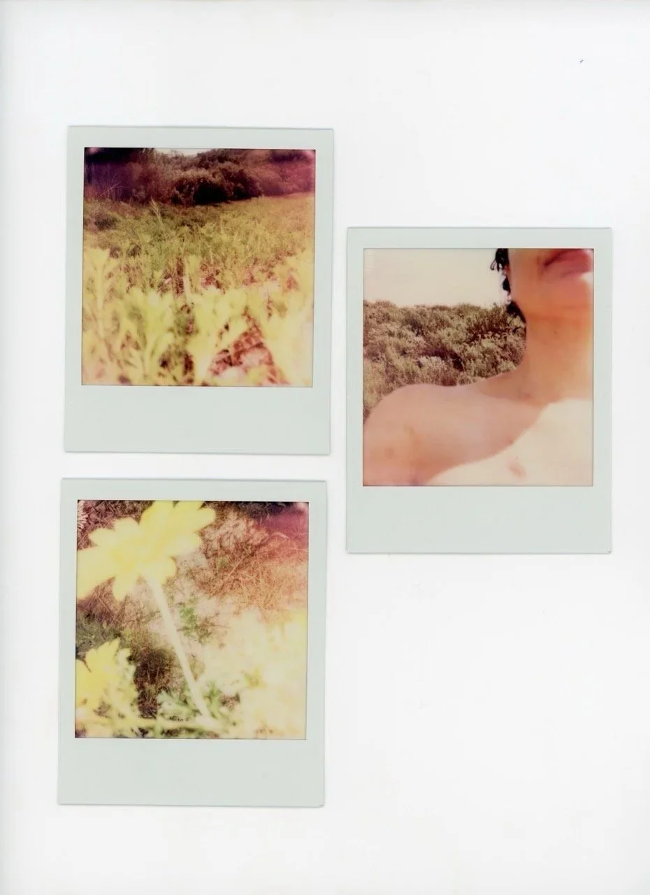 Three Polaroid pictures on a white background. Top left: outdoor scene with grass and trees. Bottom left: a close-up of yellow flowers. Right: person smiling outdoors with a background of bushes or trees.