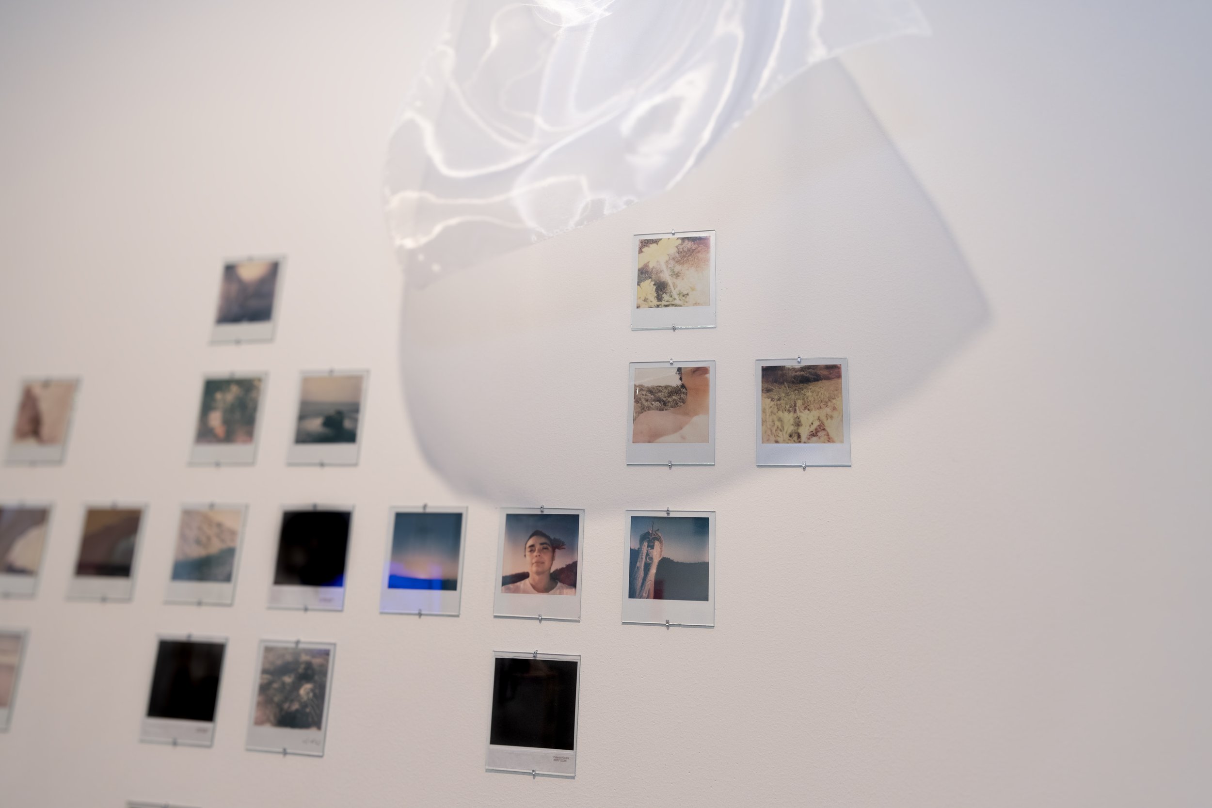 A wall display of numerous small printed photographs arranged in a grid pattern. The photos include landscapes, portraits, and abstract images, with some featuring a person posing outdoors, and others showcasing nature scenes.