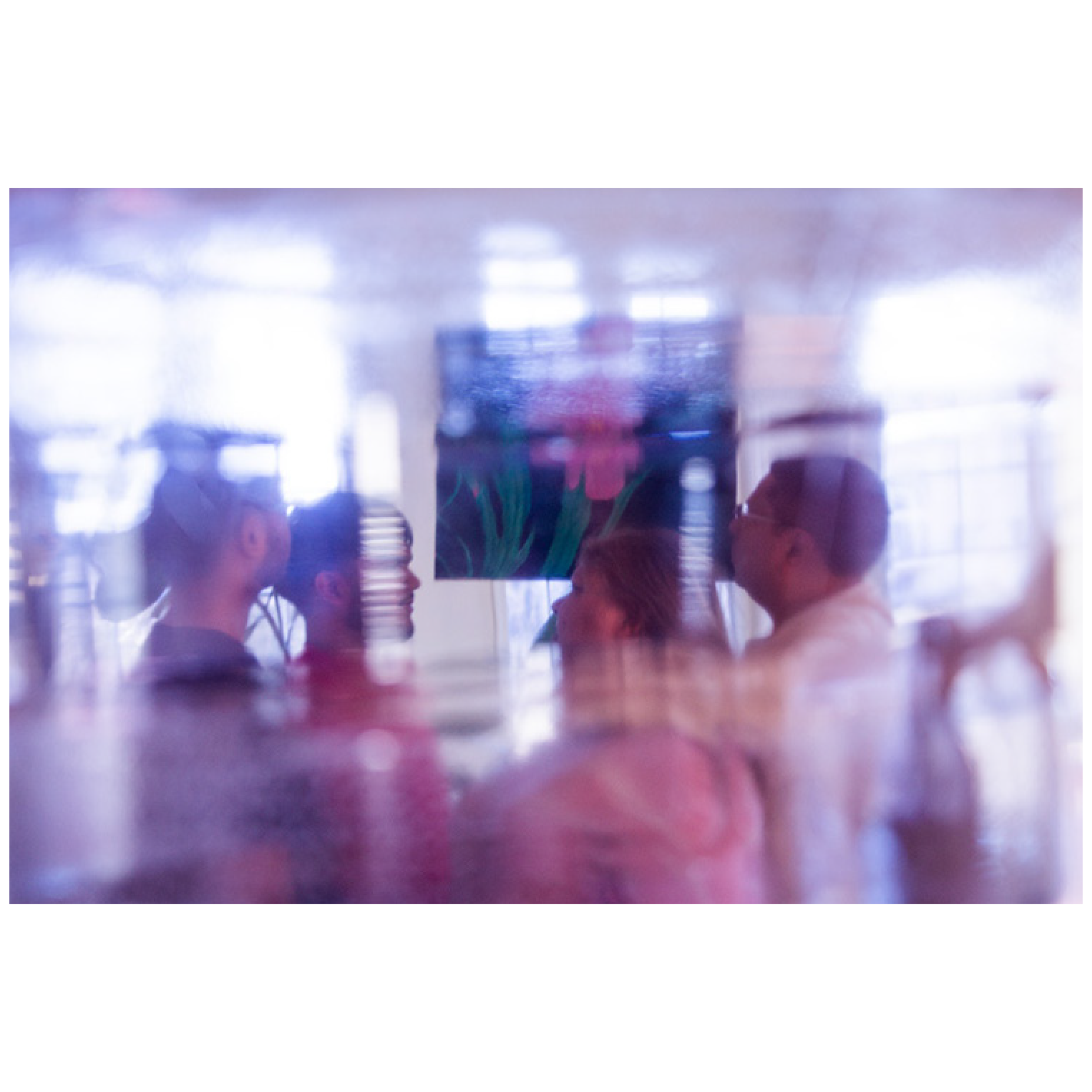Photography 1 screenshot.png