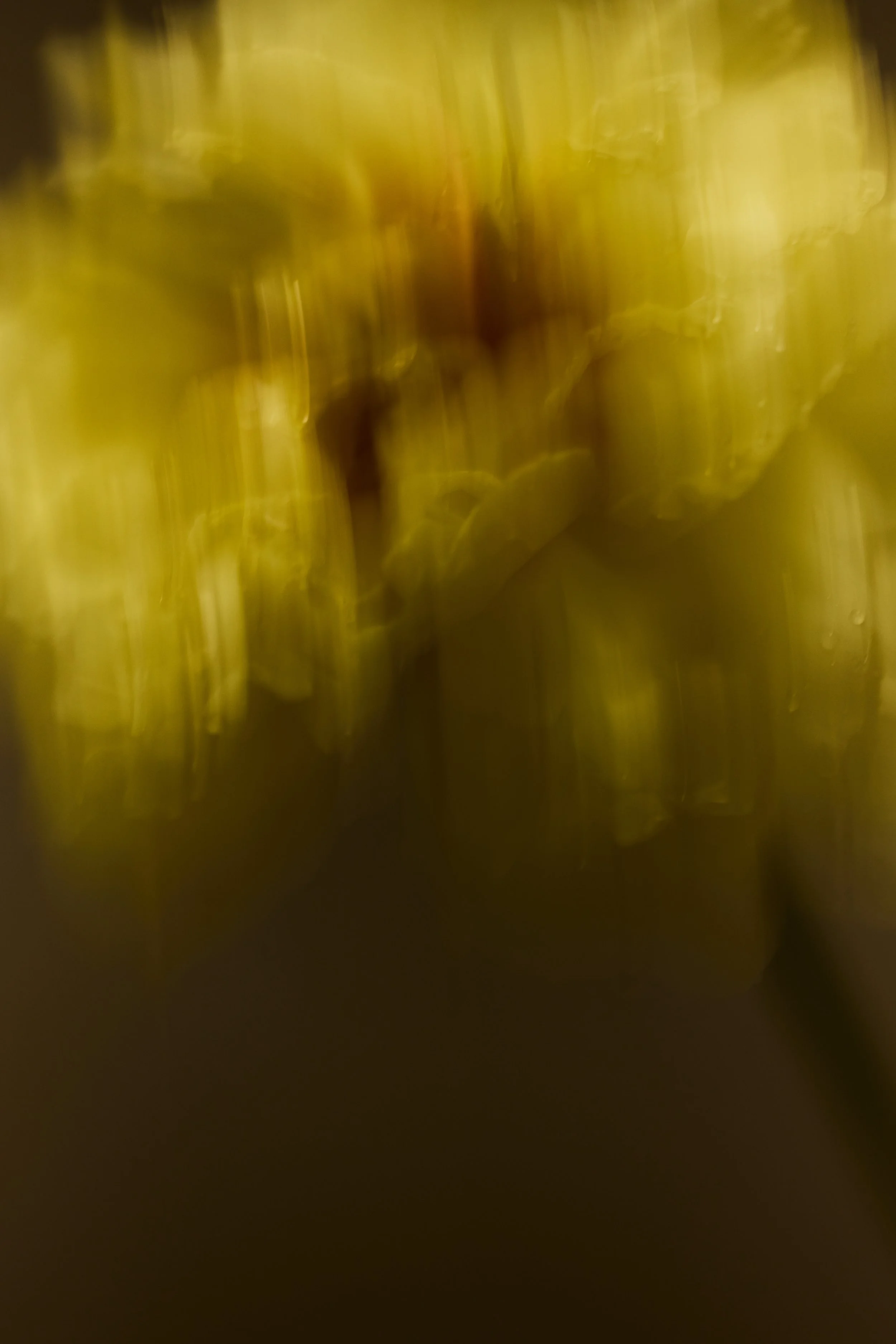 Nectar1877.jpg