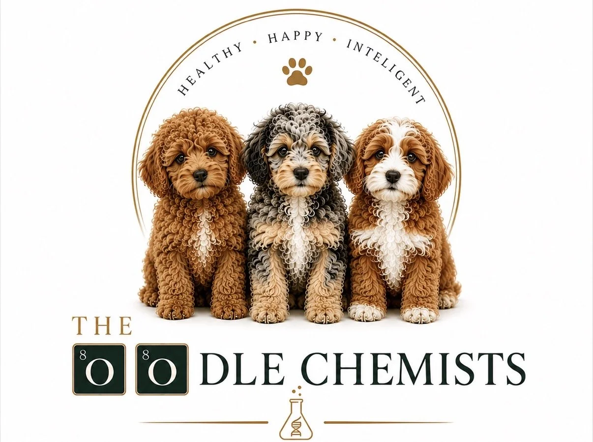 The OOdle Chemists