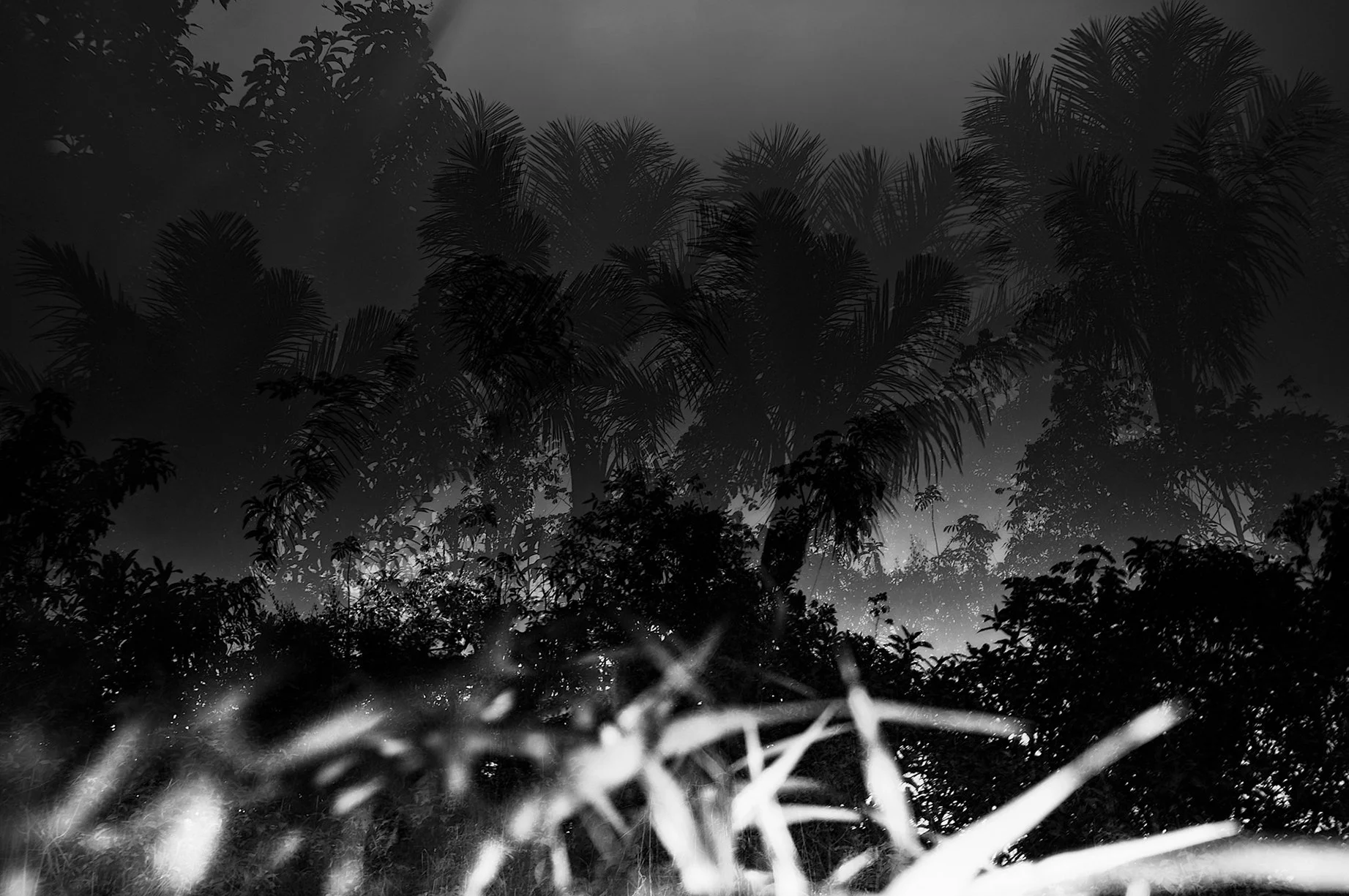 NicolasJanowski_LiquidSerpent-22.jpg
