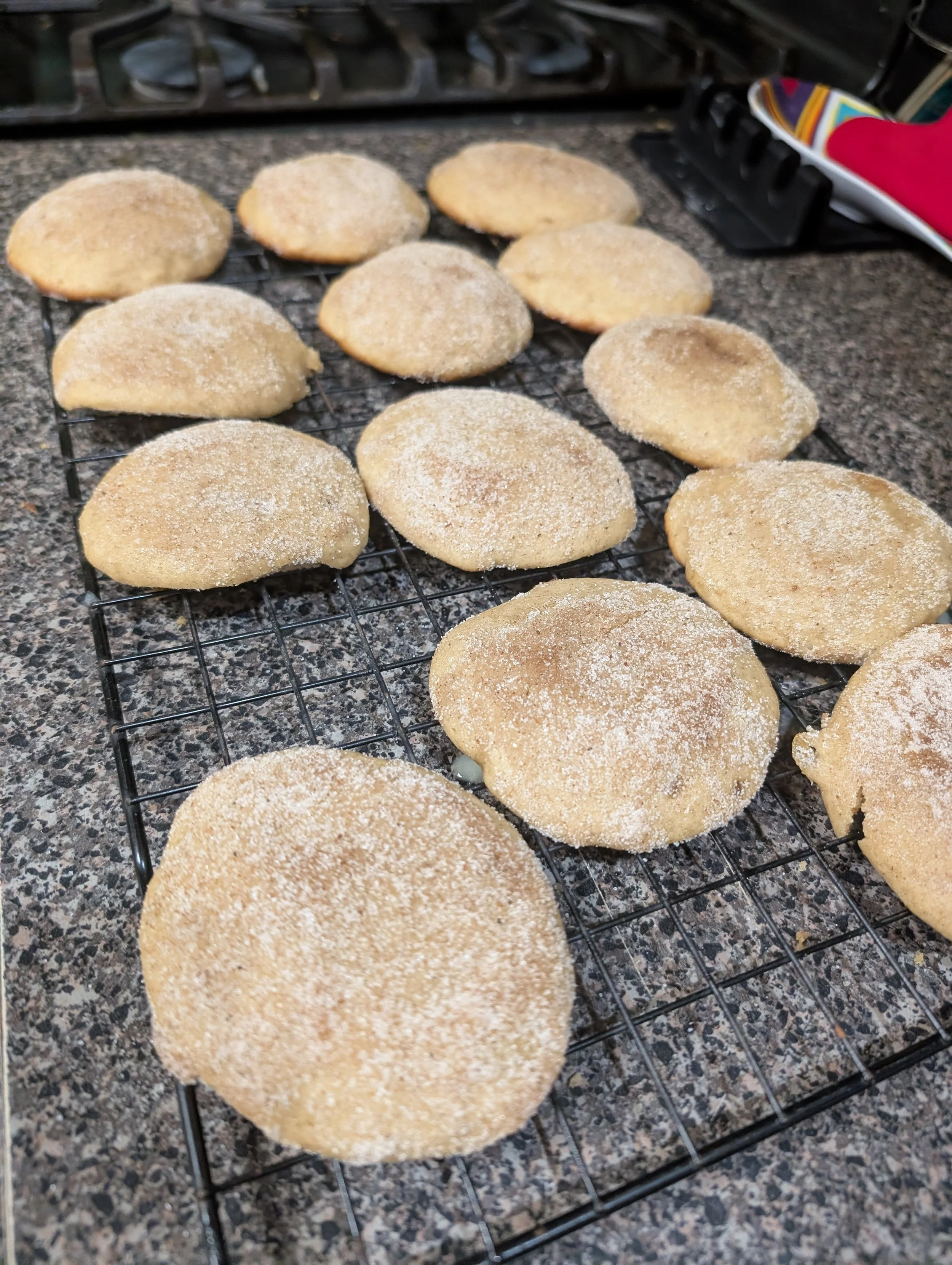 Cookie - Apple Cinnamon