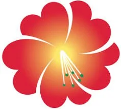 A red hibiscus flower with a yellow center and green-tipped stamens.