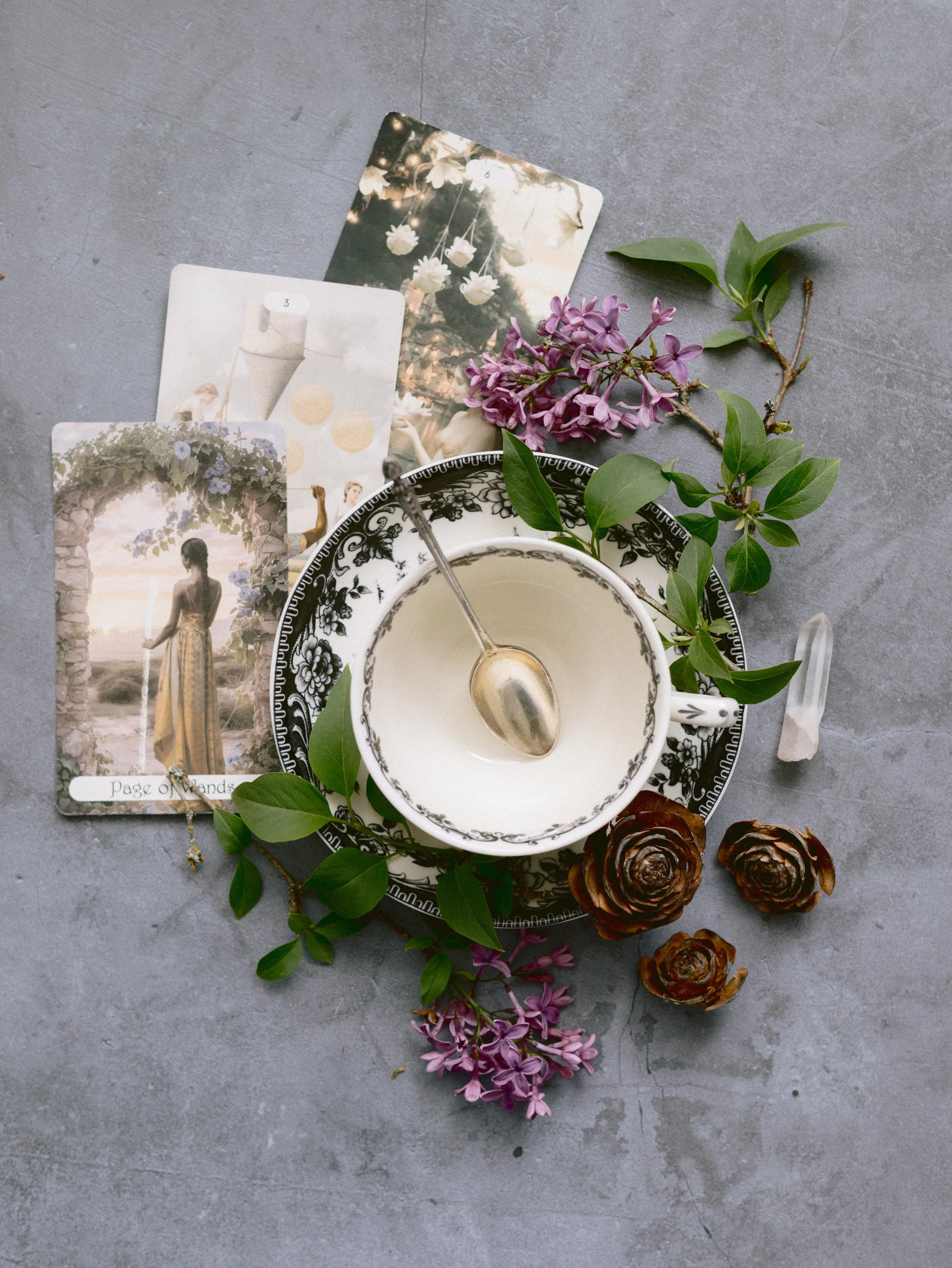 Flat lay of a tea cup and saucer with a spoon, surrounded by pink lilac flowers, green leaves, pinecones, and four tarot cards on a gray concrete surface.