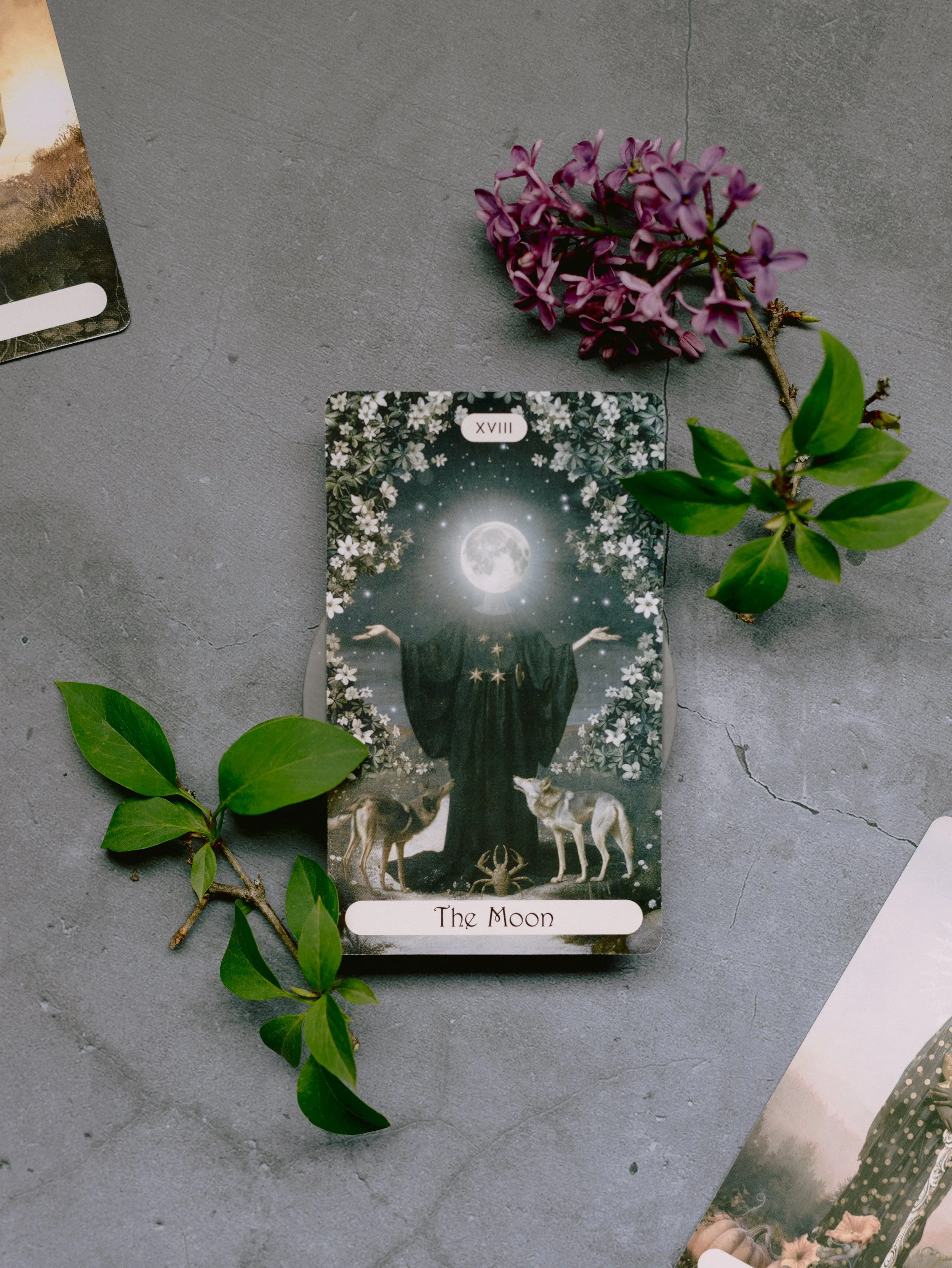 Tarot card titled "The Moon" featuring a black dog, a white dog, a crab, and a moon at night, surrounded by white flowers.