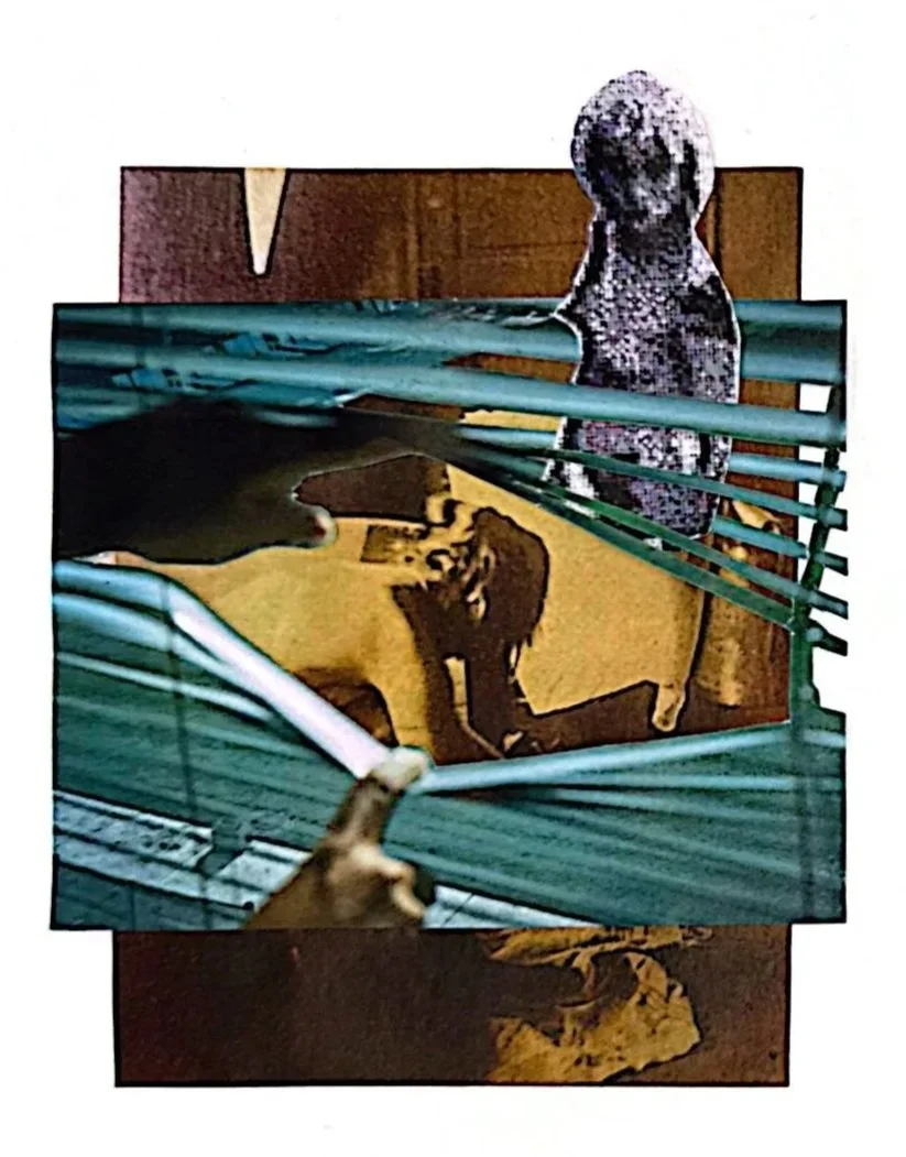 A collage of various images with abstract and surreal elements, including a dog, a paw, and reading glasses, arranged in a layered composition.