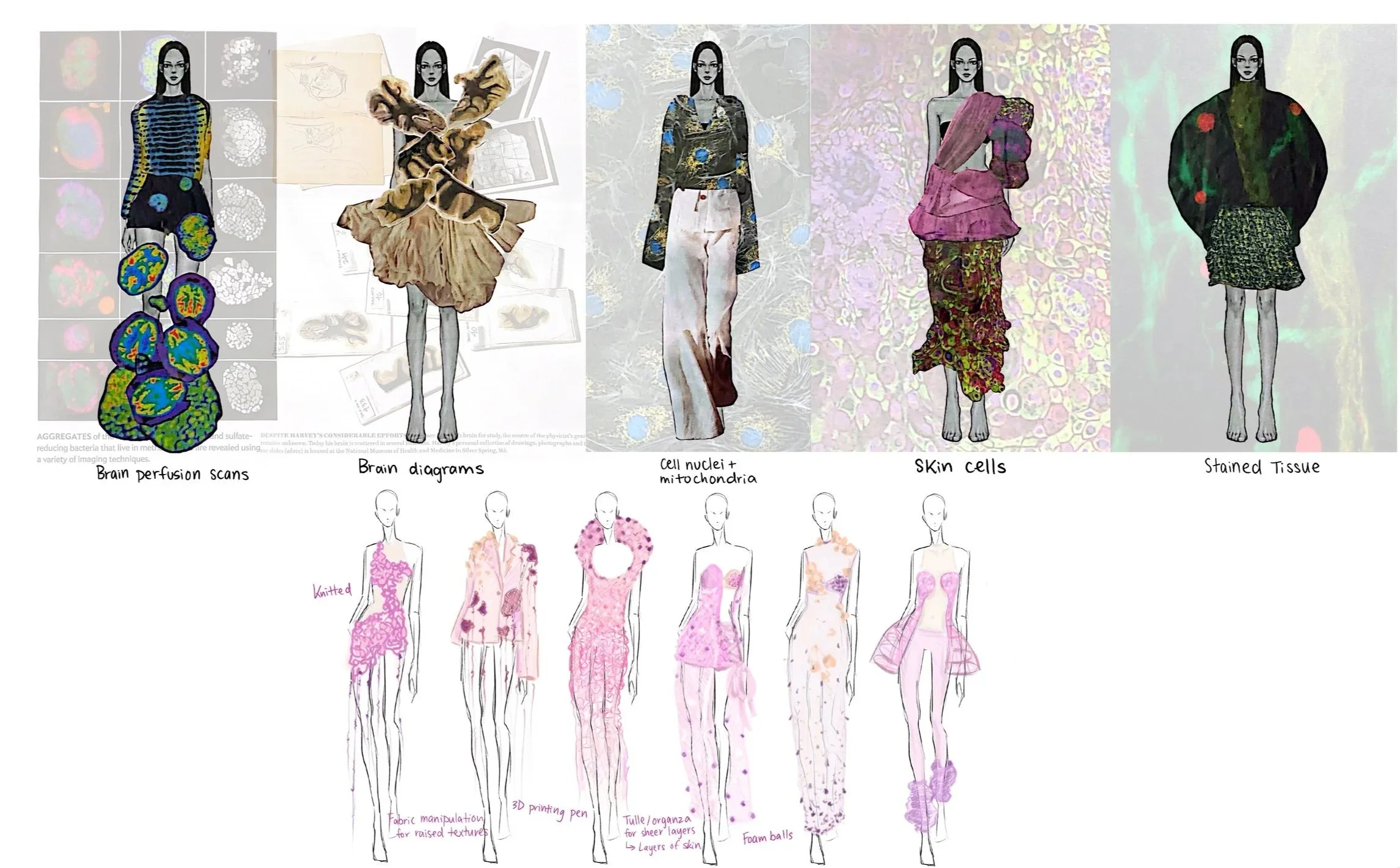 A collage of fashion sketches, biological images of brain and skin cells, and fabric designs, illustrating the connection between brain structures and fashion concepts.