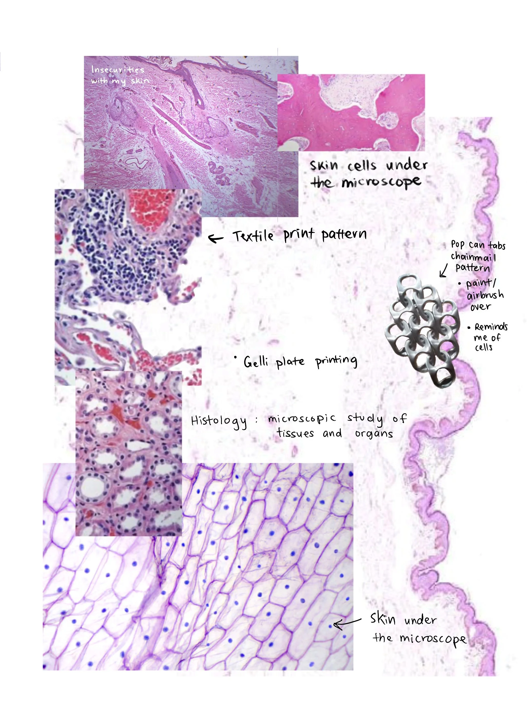 Microscopic images of skin tissue samples showing different cell and tissue structures. Handwritten notes indicate features such as insecure skin with textural print pattern, skin cells under the microscope, gland note printing, hair follicle pattern, and skin under the microscope.