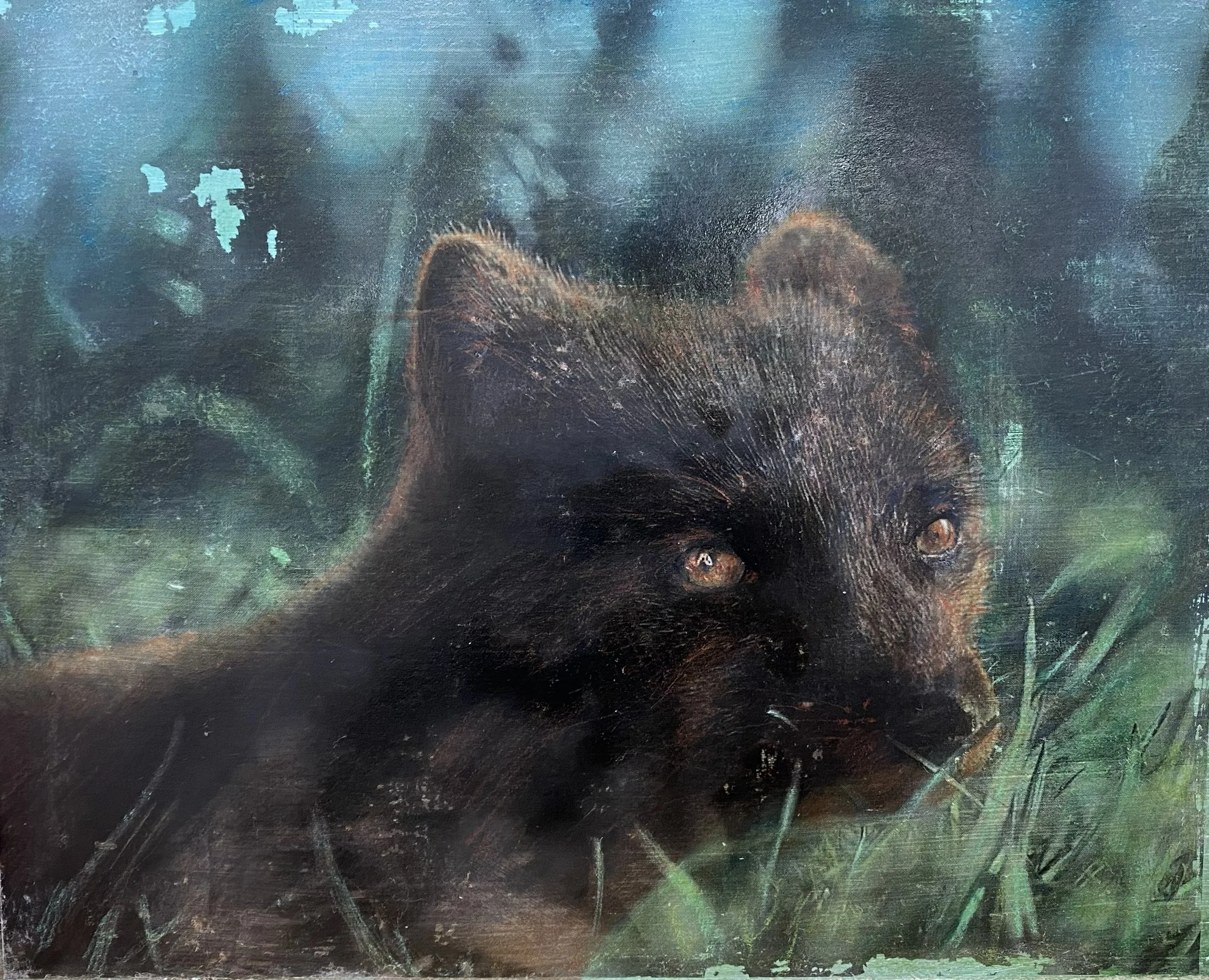 Close-up of an arctic fox in a grassy field and blurry blue background.