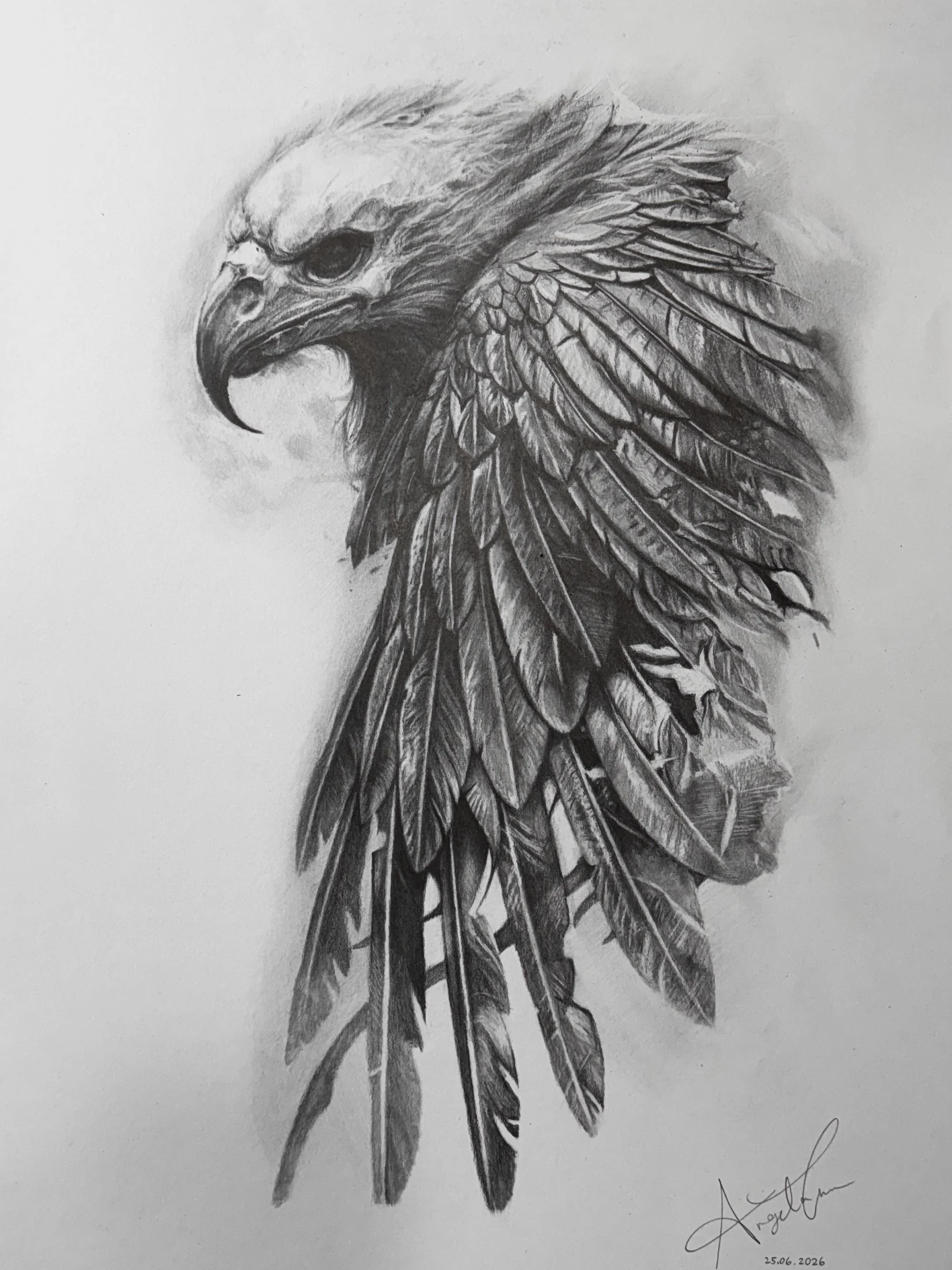 A detailed pencil drawing of an eagle's head and feathers, signed by the artist, with the date 25.06.2026.