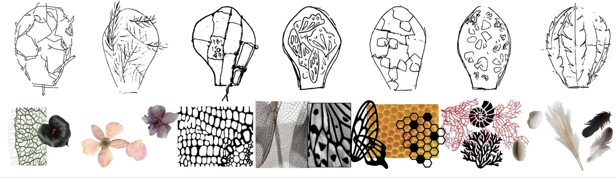 A sequence of 10 black-and-white sketches of gem or mineral shapes followed by 11 color images of various leaf, flower, insect wing, and honeycomb structures with intricate patterns.