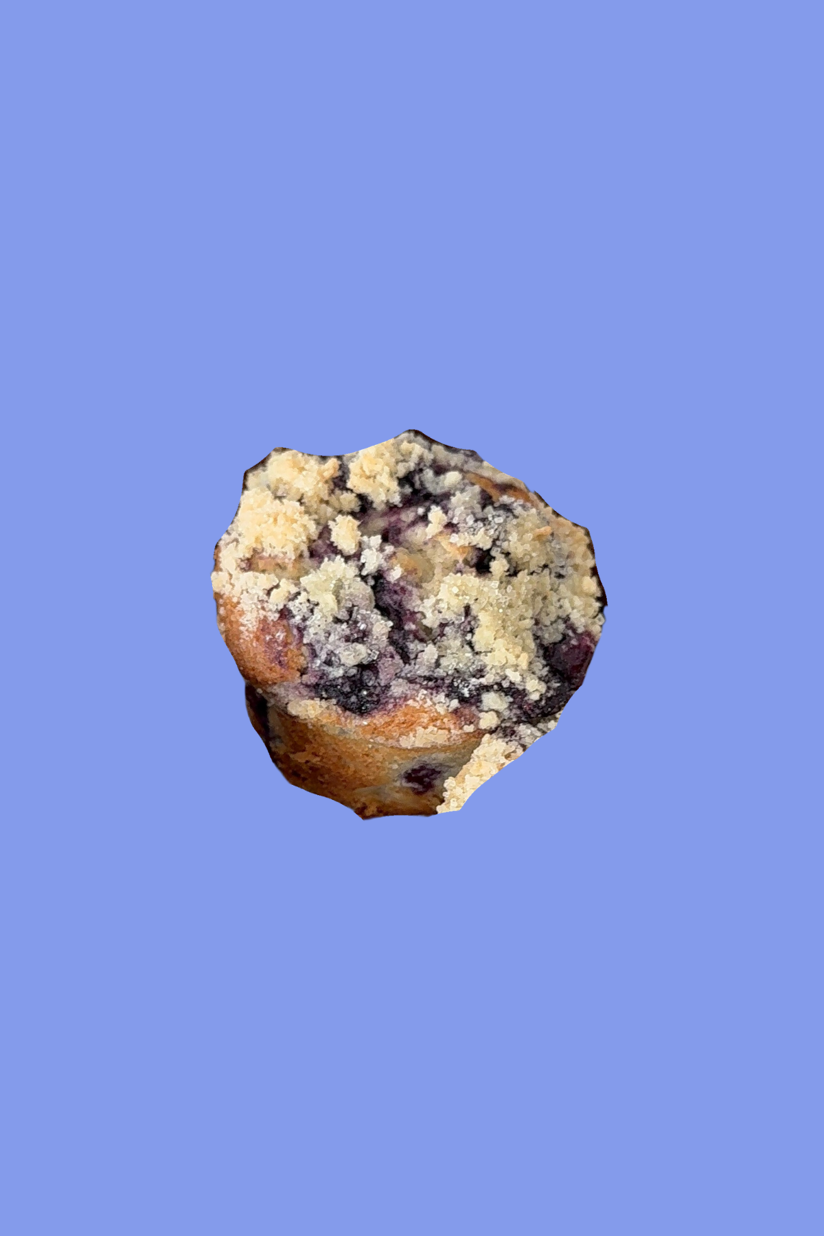 Blueberry Muffin