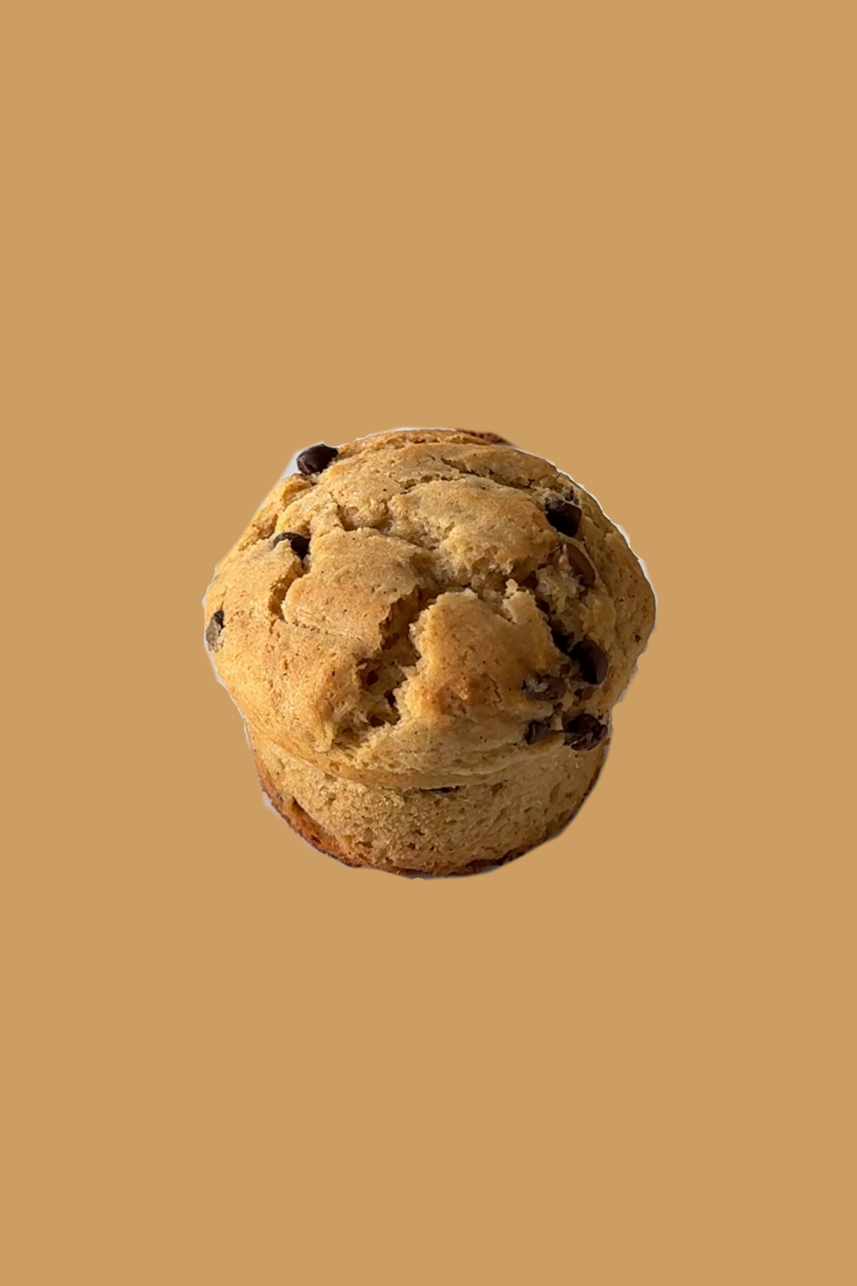 Chocolate Chip Muffin