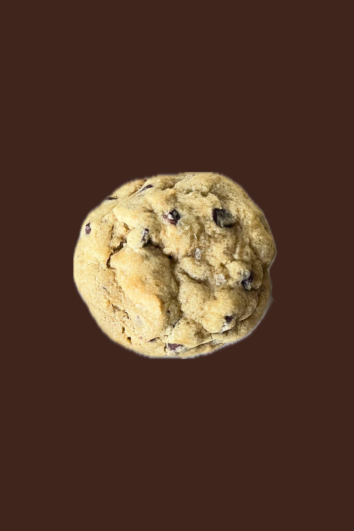 Chewy Chocolate Chip Cookie