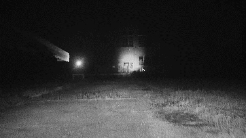 loose-cattle_the-shoals_1378.gif