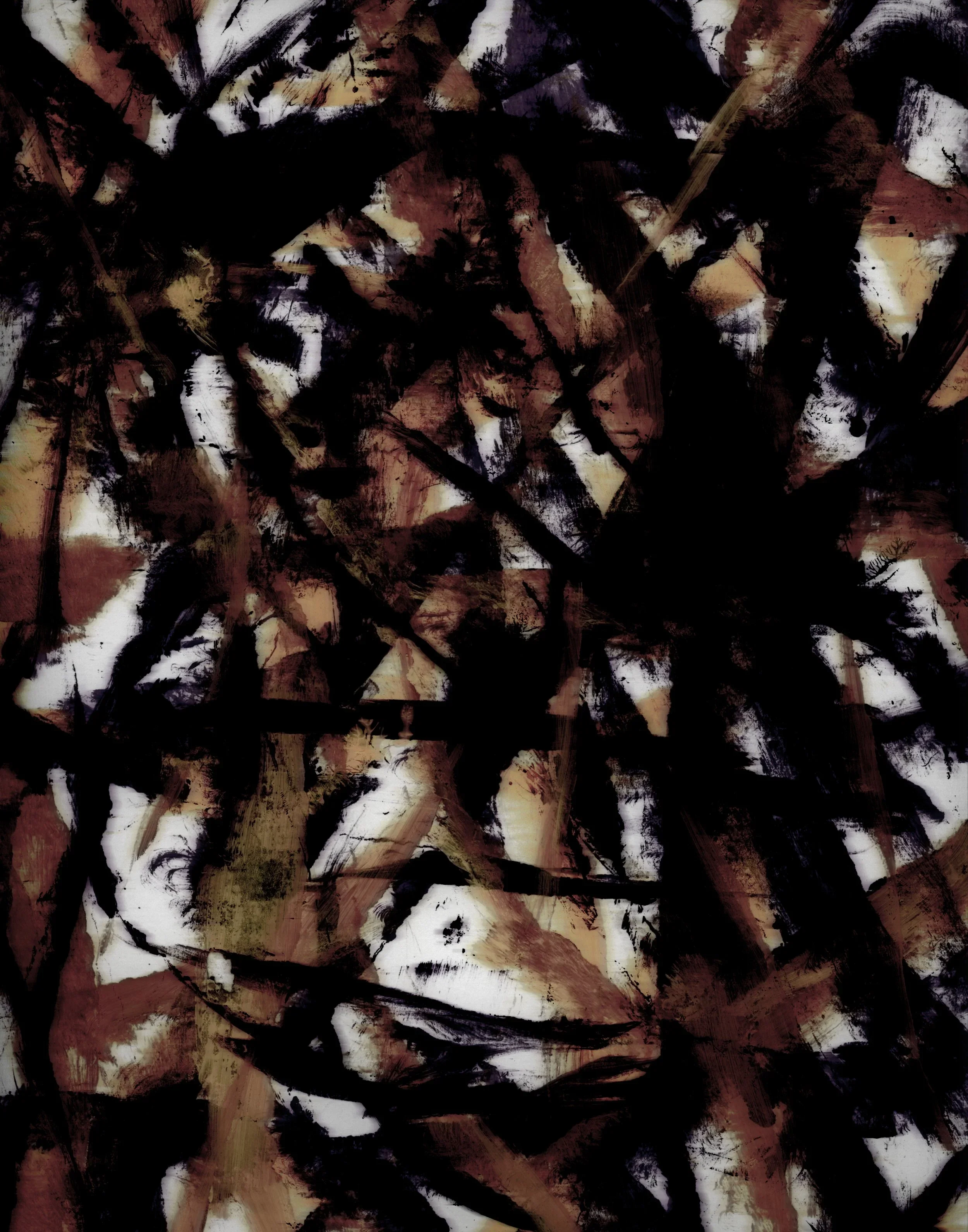5.webp