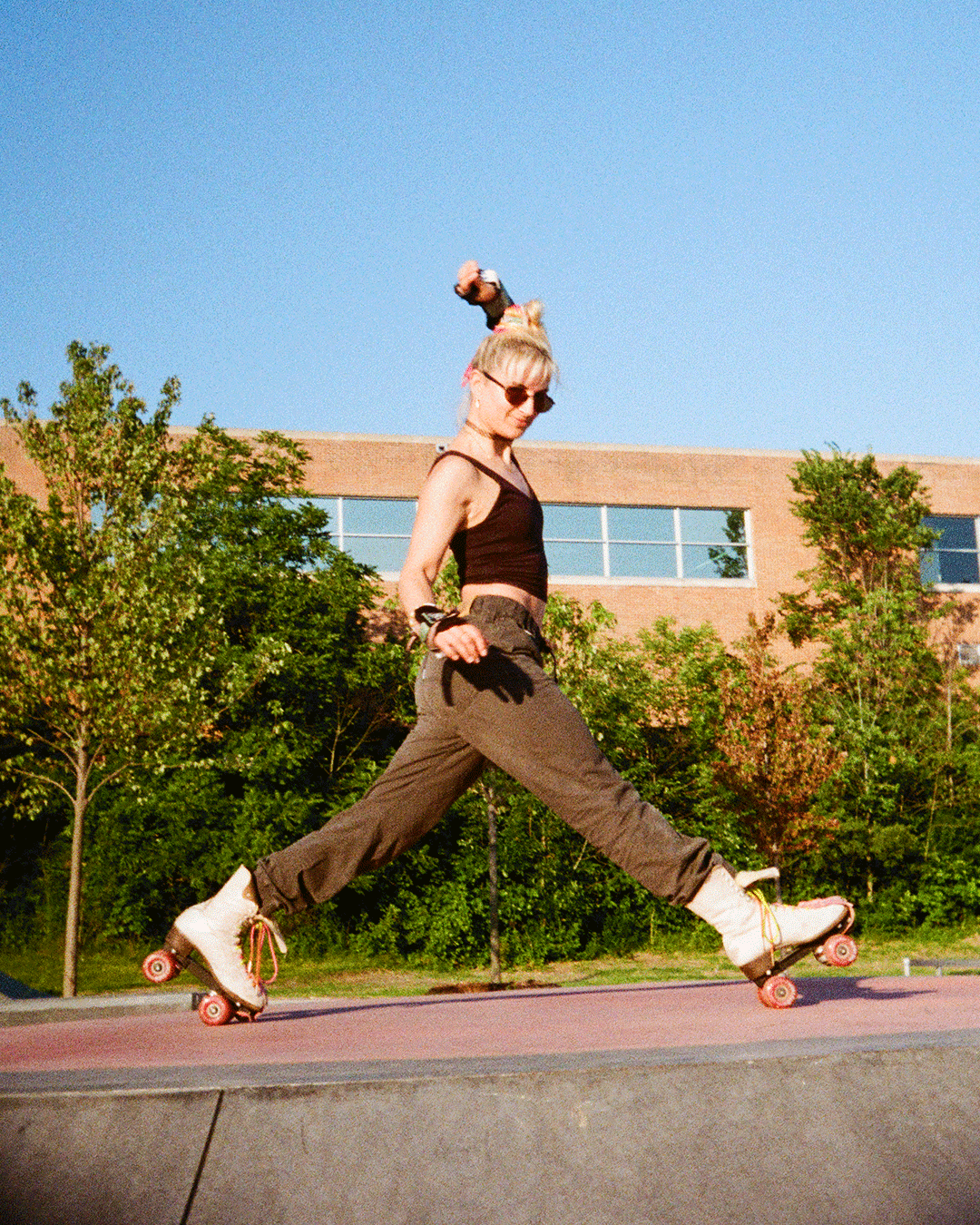 skatesteftop.gif