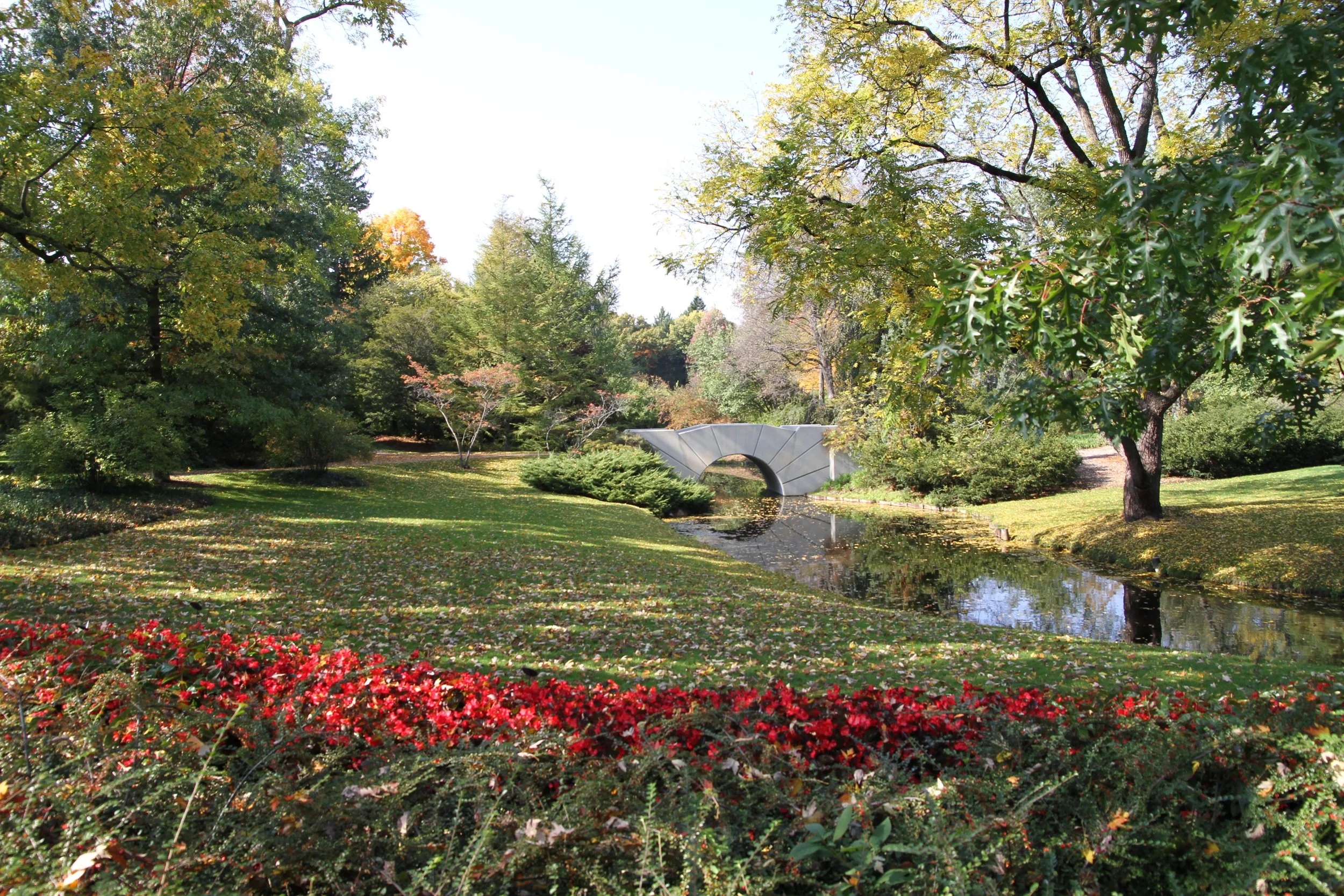 A park scene with lush green trees, a small stream, and a modern concrete bridge, on a sunny day with fallen leaves on the ground.