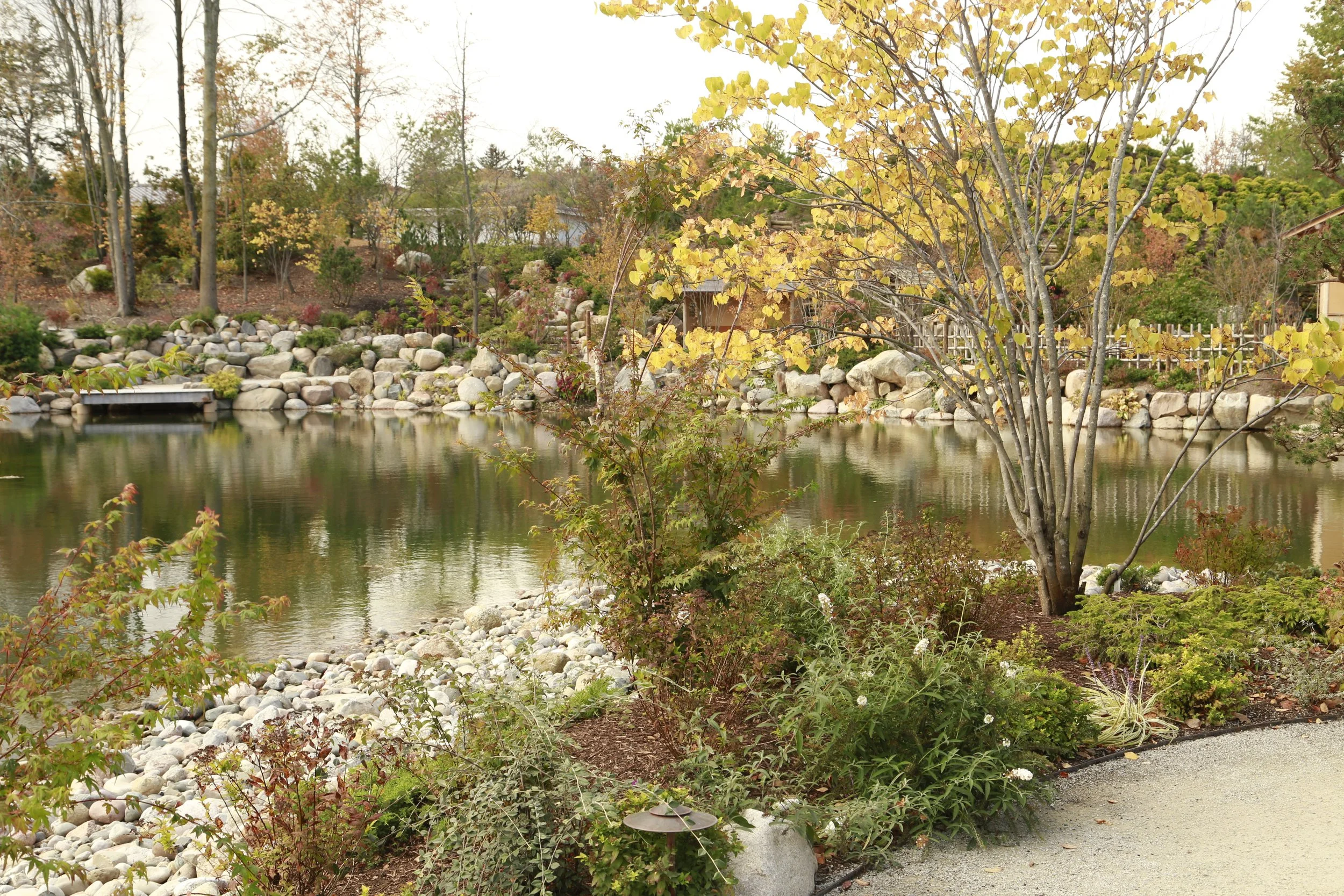 A tranquil garden scene featuring a pond with a small dock, surrounded by rocks, trees with yellow and green leaves, and lush shrubs and plants, capturing an autumn atmosphere.