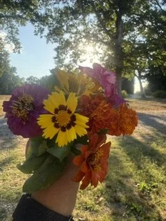 A colorful bouquet of flowers including yellow, purple, orange, and pink blooms, held outdoors with sunlight and trees in the background.