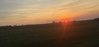Sunset over a grassy field with a few trees in the distance.