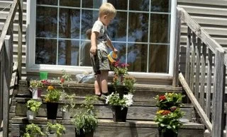 A young boy watering plants on an outdoor deck with potted flowers and plants.