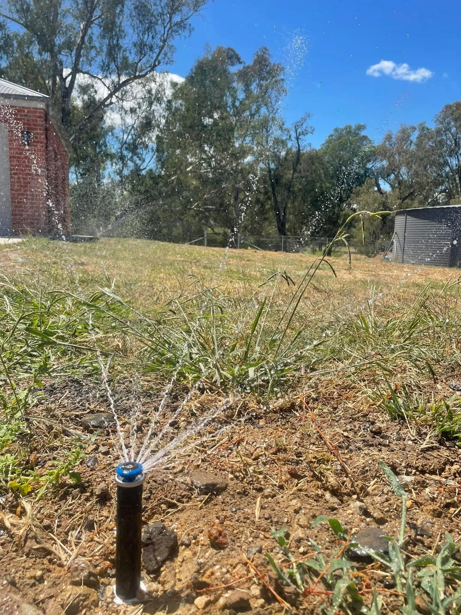 A lawn sprinkler watering dry grass and soil on a sunny day, with a house, trees, and a blue sky in the background.