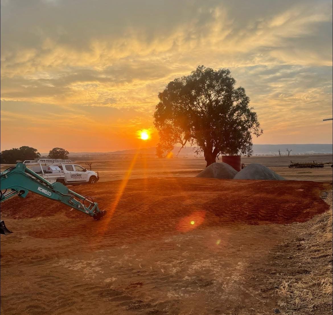 Sunset over a construction site with a large tree, construction vehicles, and dirt mounds.