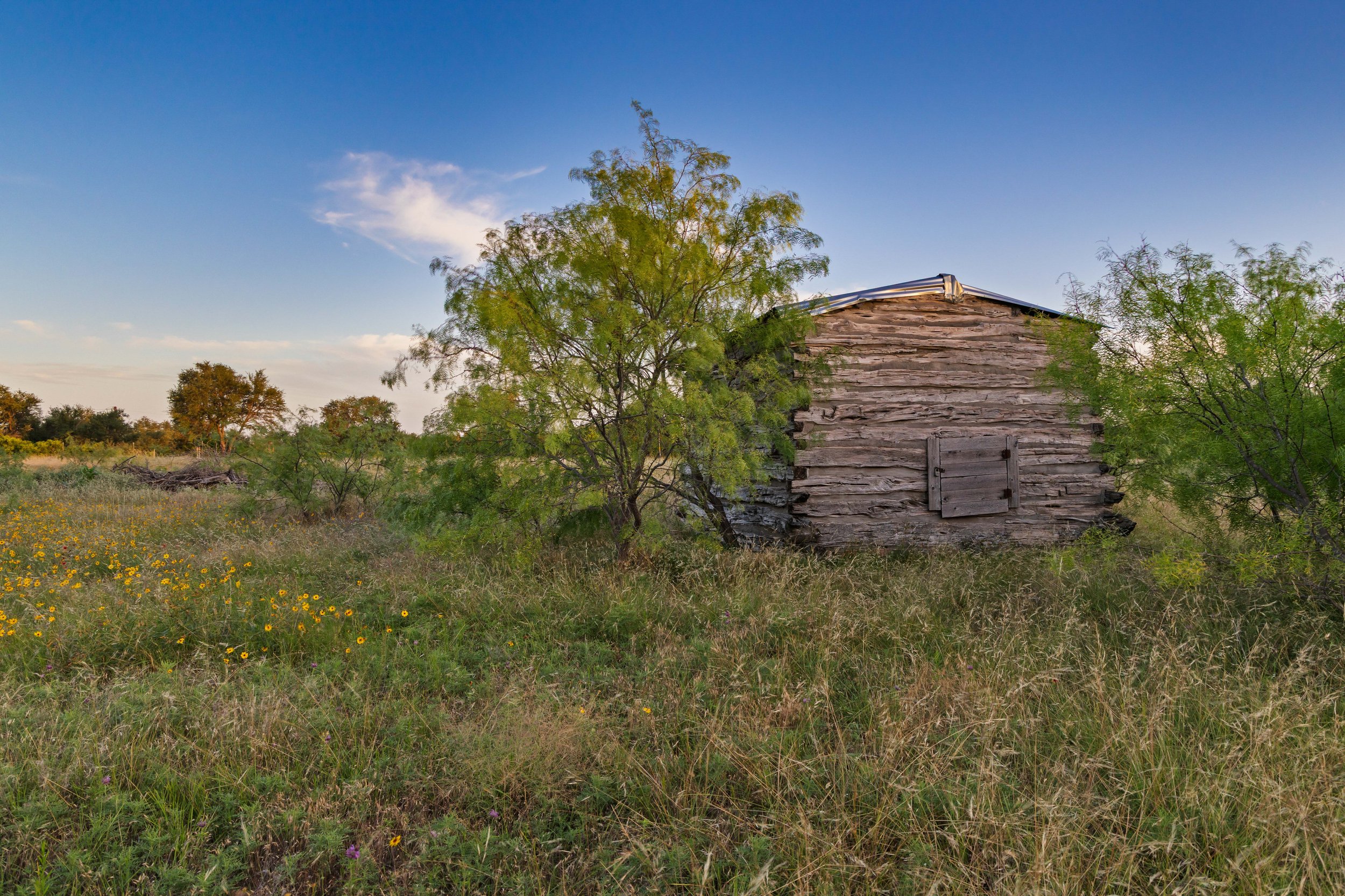 An old wooden cabin with a metal roof surrounded by green trees and wildflowers in a field under a clear blue sky.