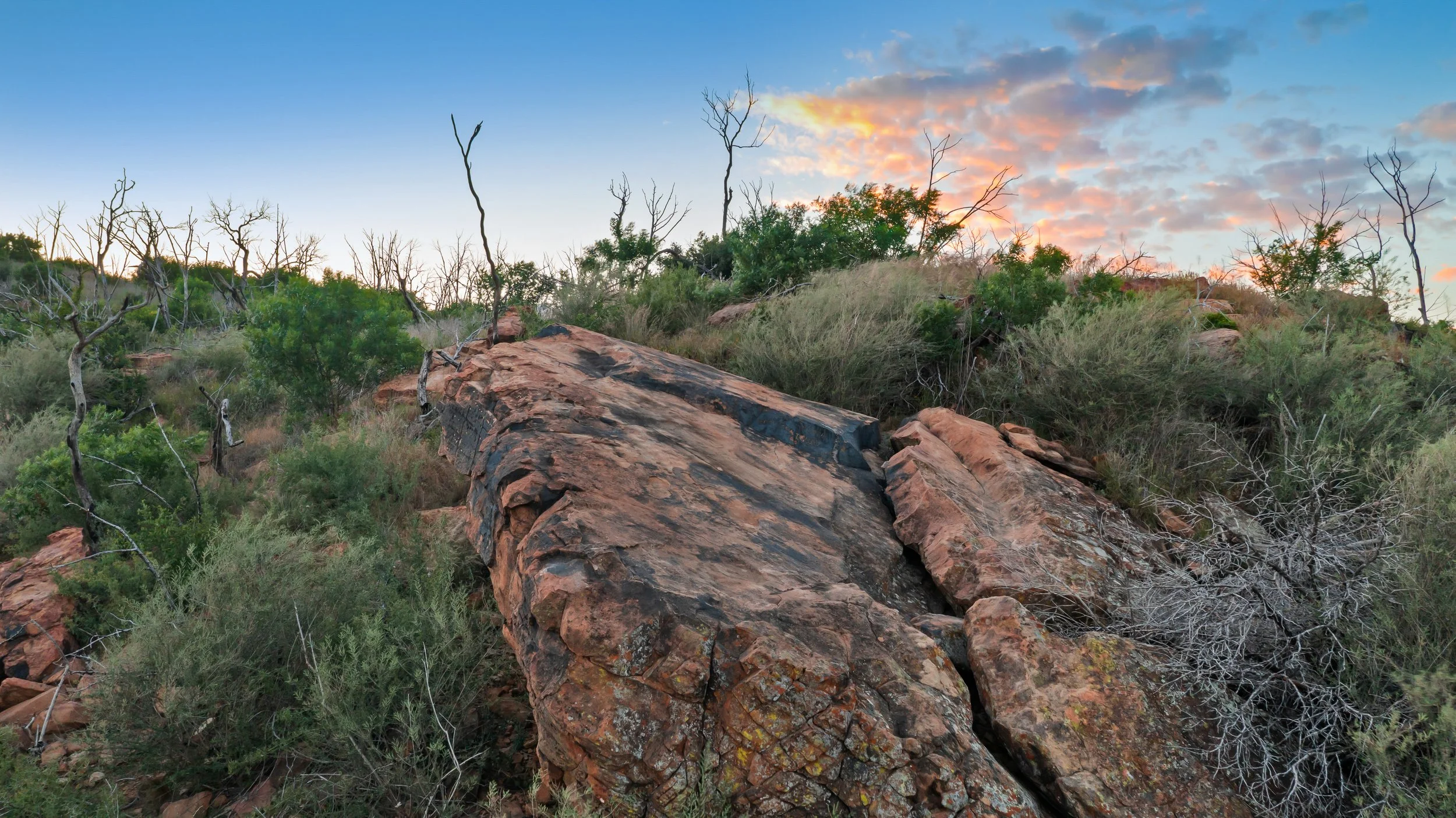 A natural landscape with large rocks, green bushes, and sparse trees with no leaves under a partly cloudy sky during sunset.