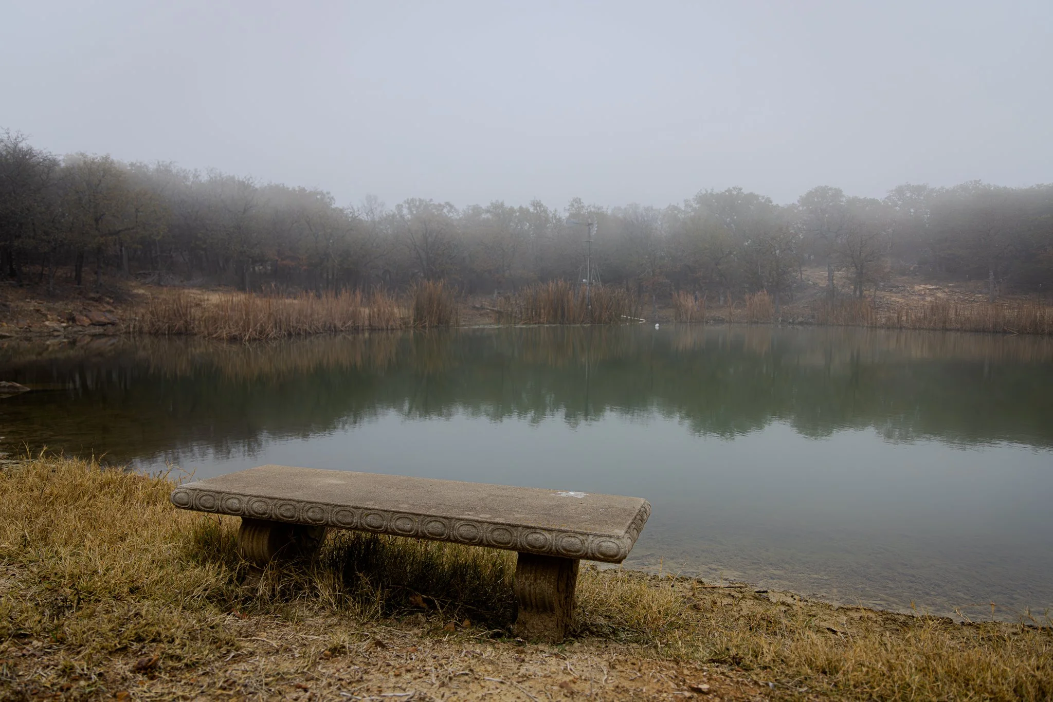 A foggy landscape scene with a body of water, surrounded by trees and tall grasses. There is a concrete bench in the foreground on a gravel/grass surface.