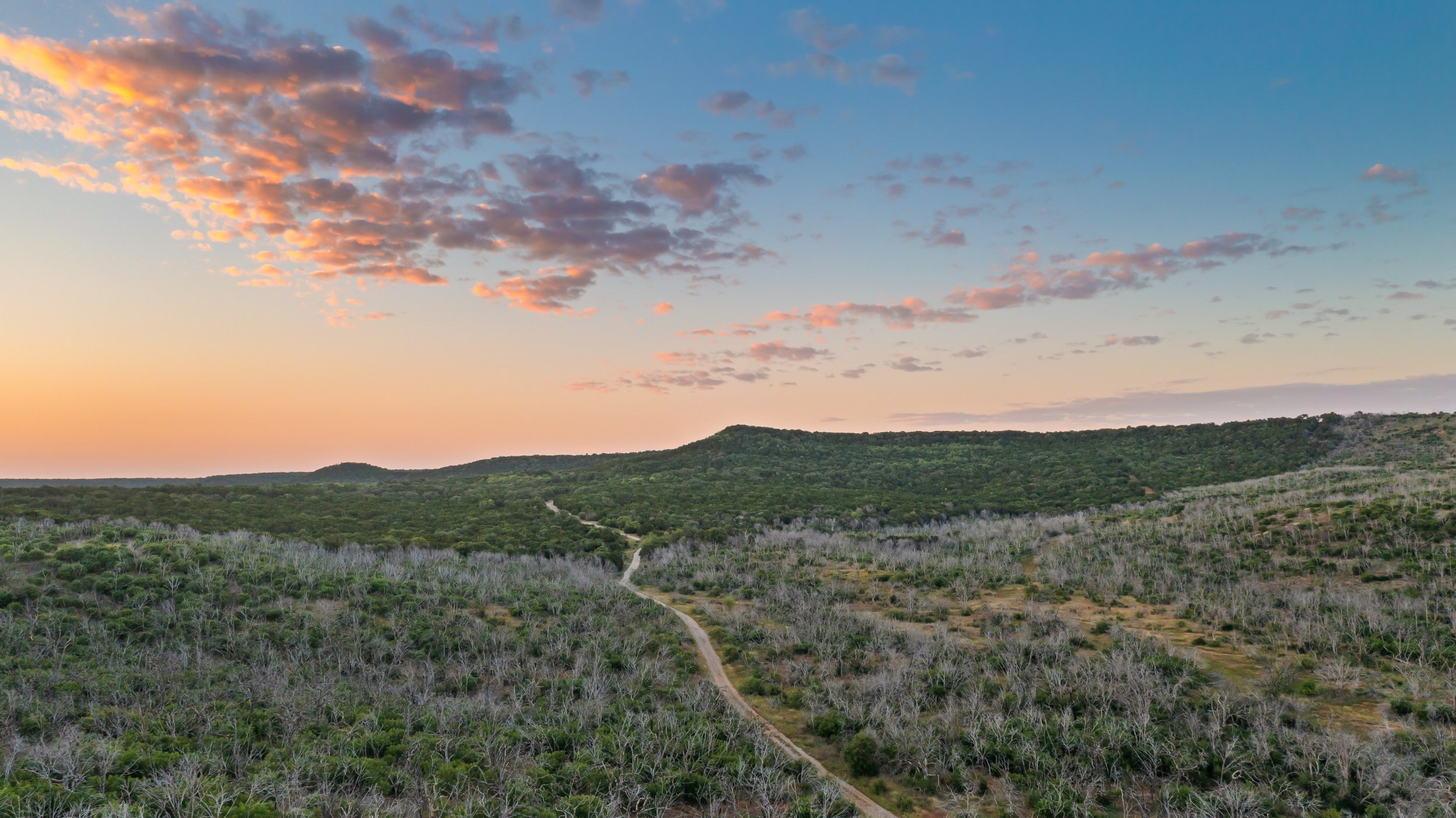 A landscape view of a hilly countryside with sparse trees and a dirt path in the foreground, green hills in the distance, and a sky with scattered clouds during sunset.