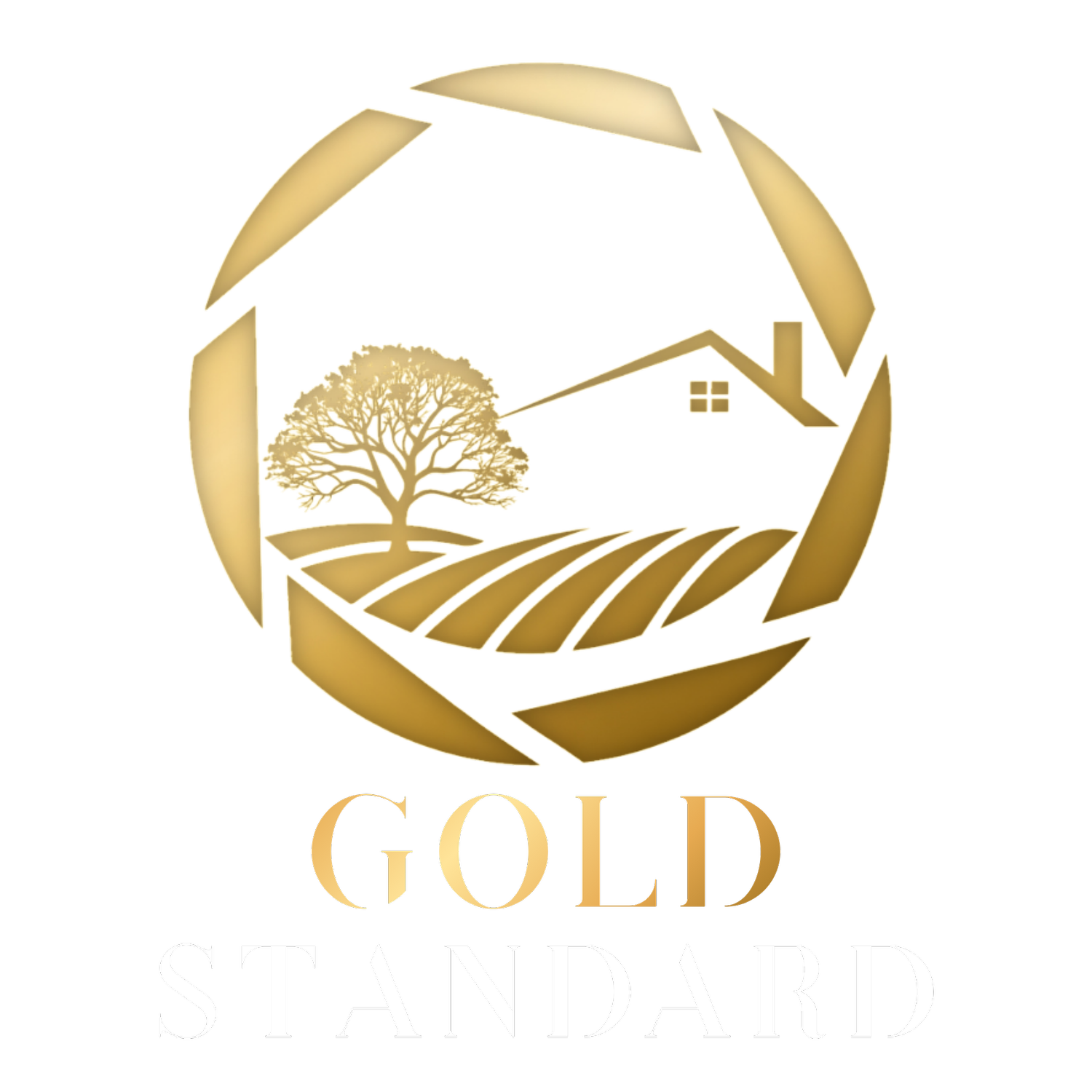 Gold Standard Visuals
