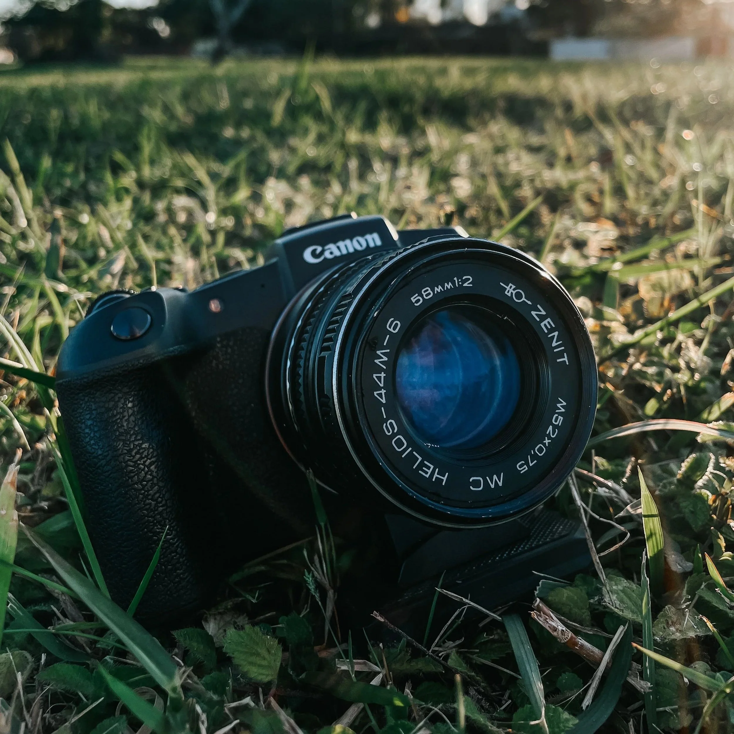 A camera resting on green grass outdoors with sunlight shining from the right.