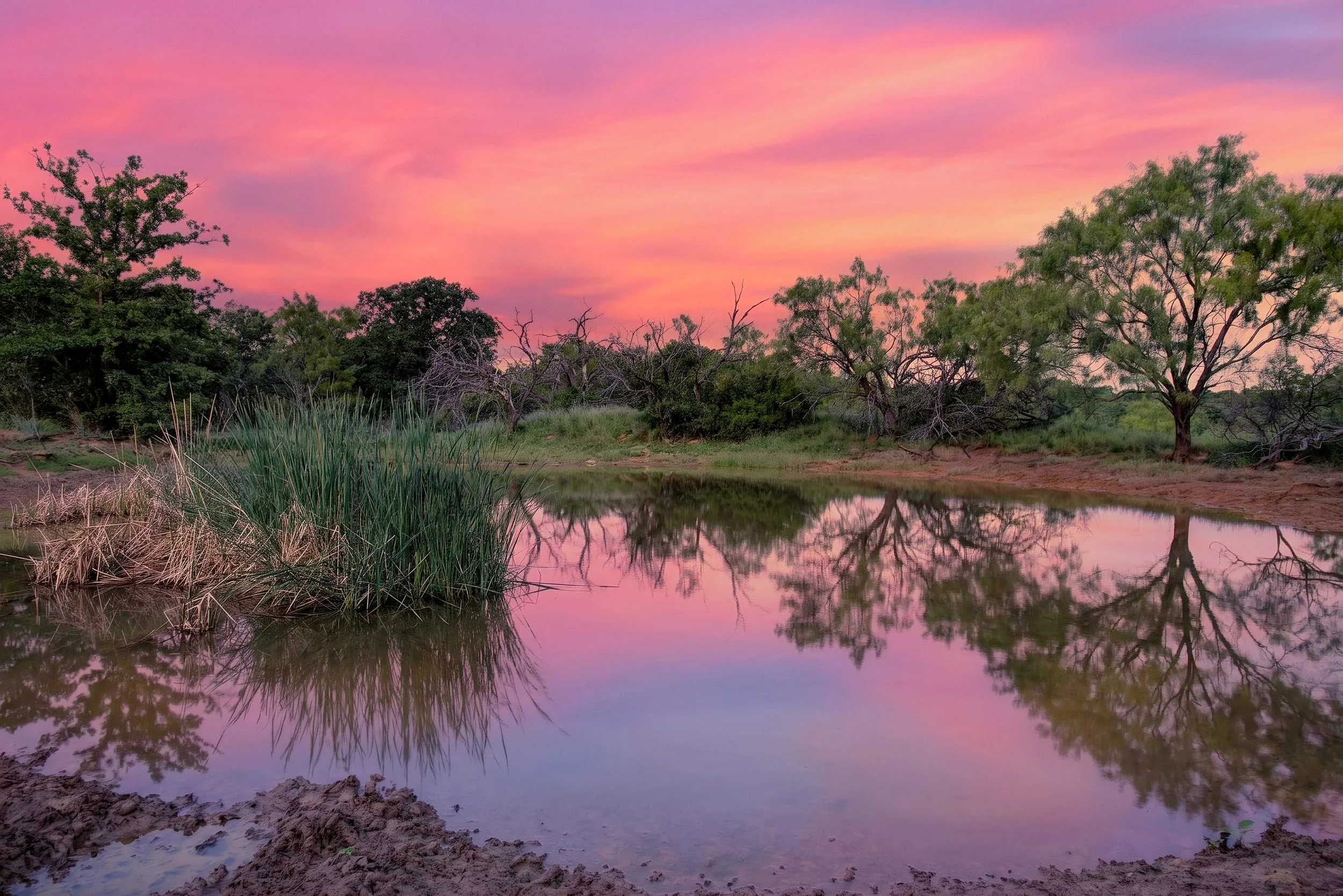 Sunset over a river with trees reflected in the water, pink and purple clouds in the sky.