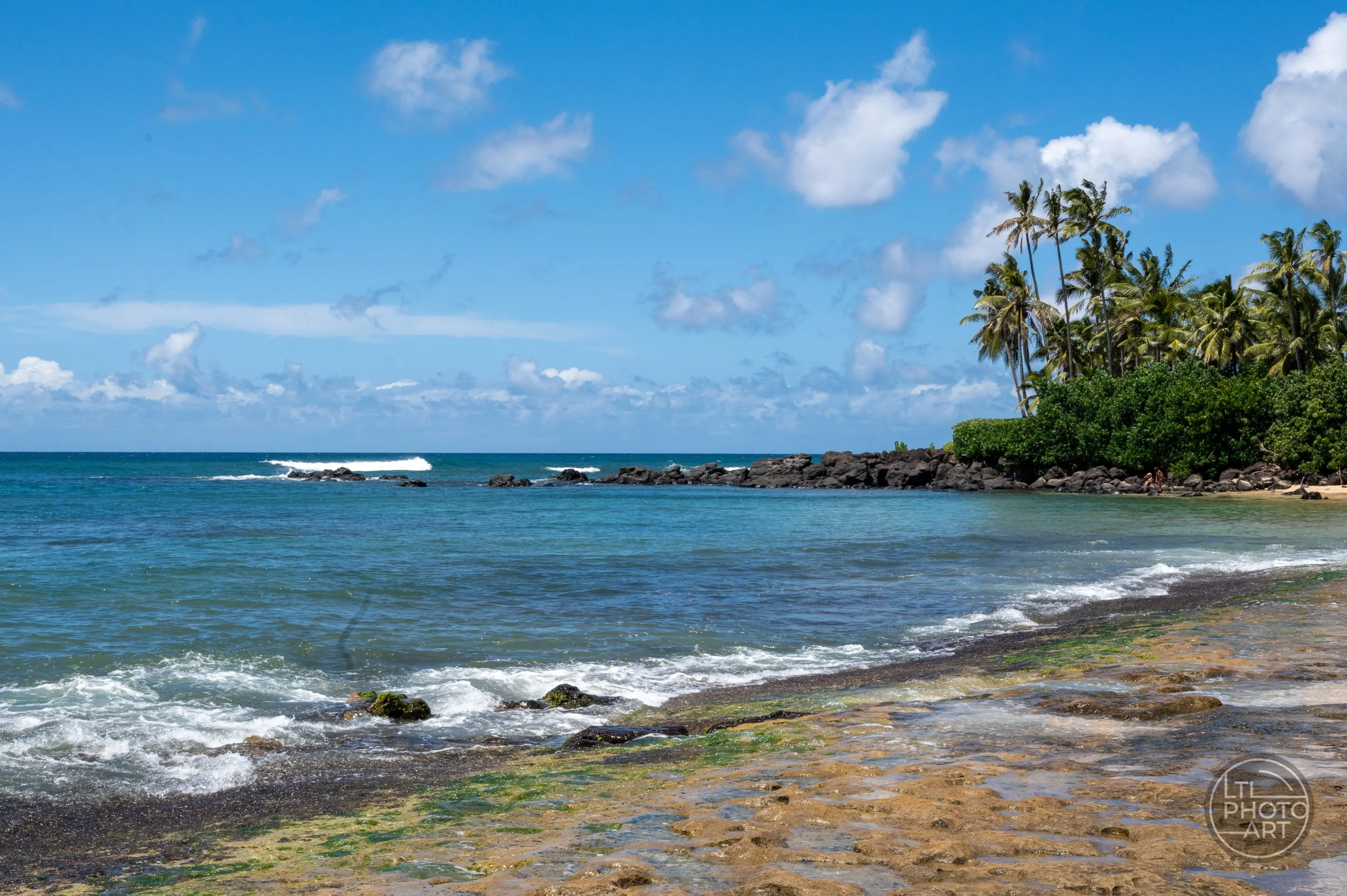 Turquoise ocean water along Oahu’s North Shore, with volcanic rocks, palm trees, tropical vegetation, and a bright blue sky.