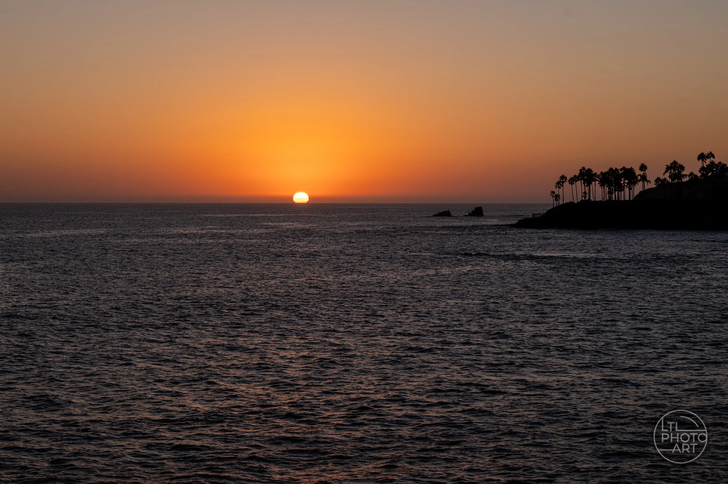 Sunset over the Pacific Ocean viewed from Heisler Park in Laguna Beach, with Monument Point and palm trees silhouetted along the right side of the frame.