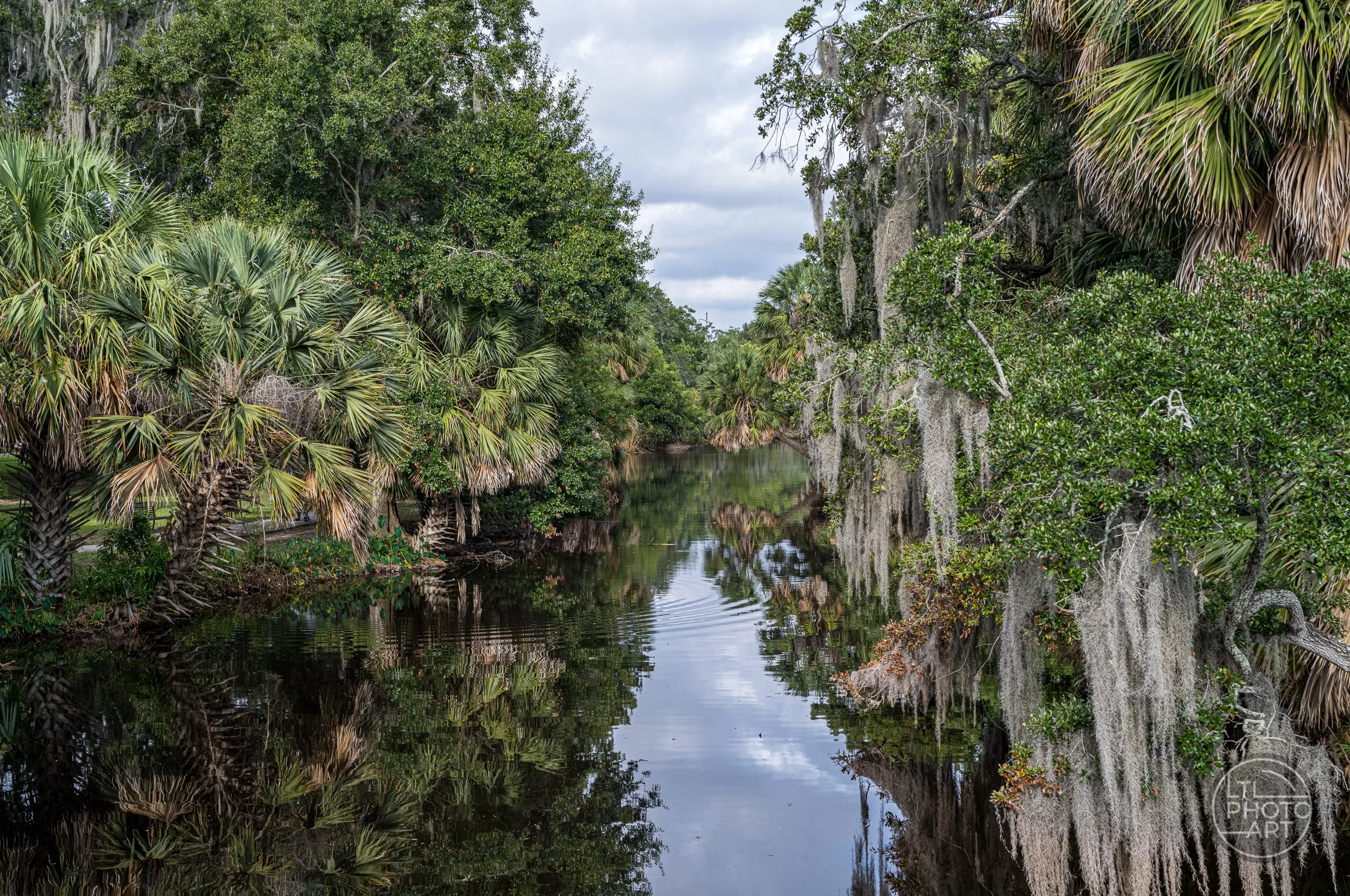 Waterway in New Orleans City Park with palm trees, live oaks, Spanish moss, and reflections in the calm water.