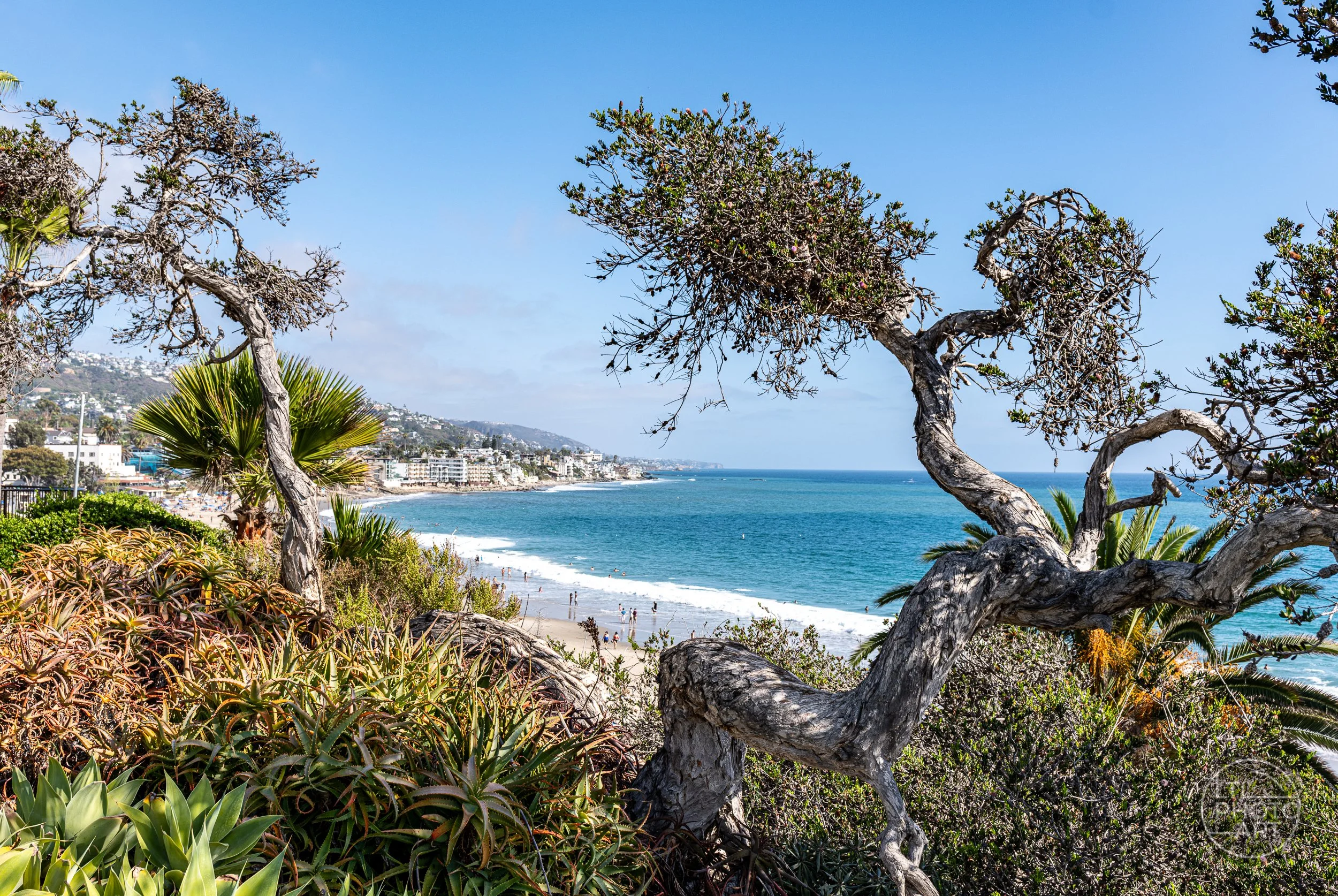 Coastal trees and vegetation frame a view of Laguna Beach and the Pacific Ocean from Heisler Park in Laguna Beach, California.