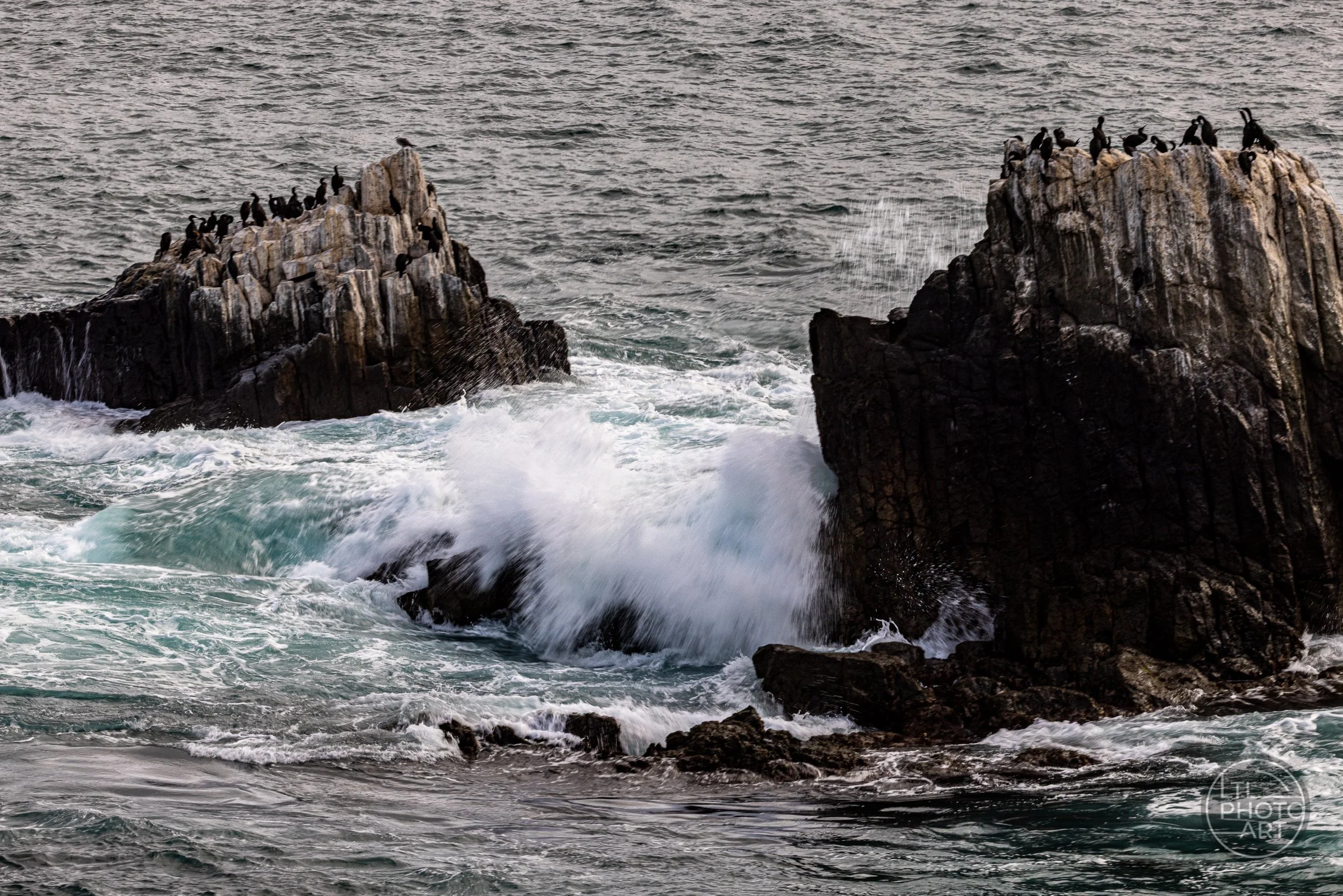 Wave crashing against offshore rocks covered with cormorants, viewed from Crescent Bay Point Park in Laguna Beach, California.