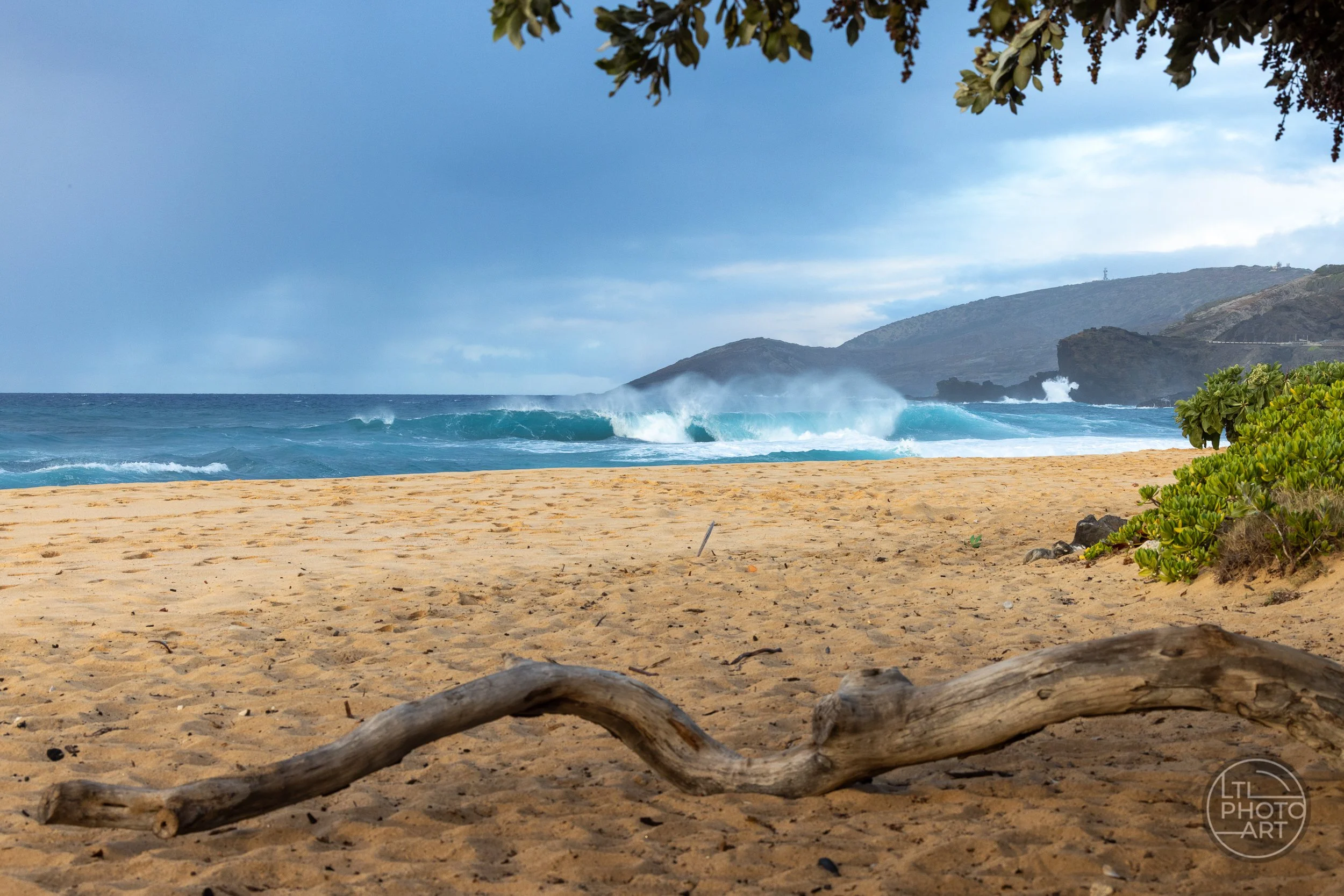 Turquoise waves breaking beyond a sandy beach and driftwood at Sandy Beach Park on Oʻahu, Hawaiʻi.