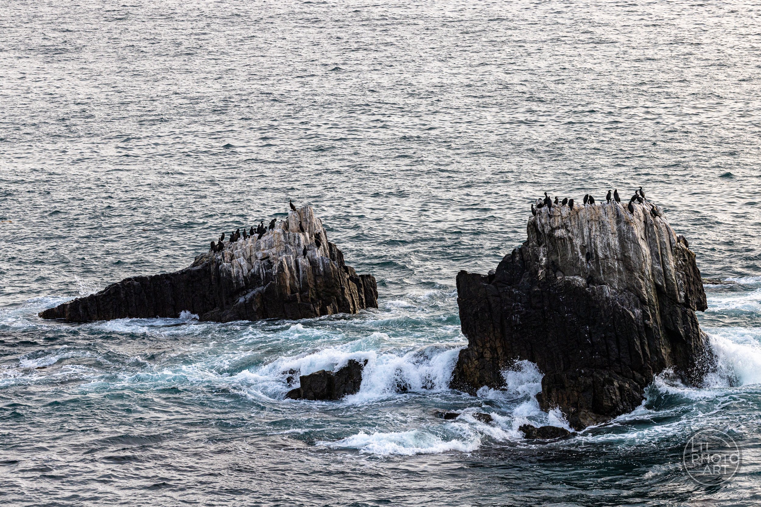Cormorants perched on rocky sea stacks surrounded by breaking waves below Crescent Bay Point Park in Laguna Beach, California.