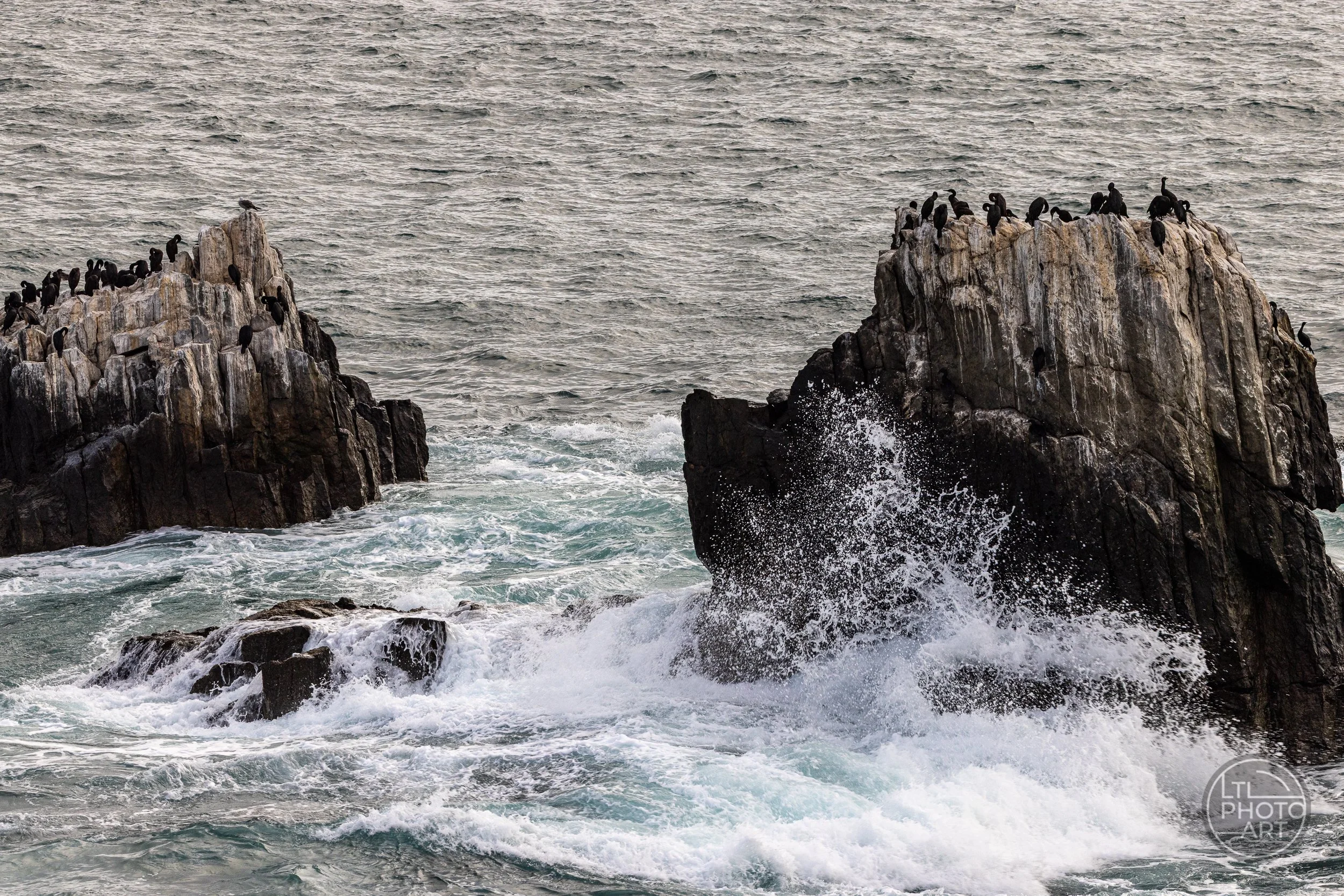 Wave crashing against offshore rocks covered with cormorants, viewed from Crescent Bay Point Park in Laguna Beach, California.