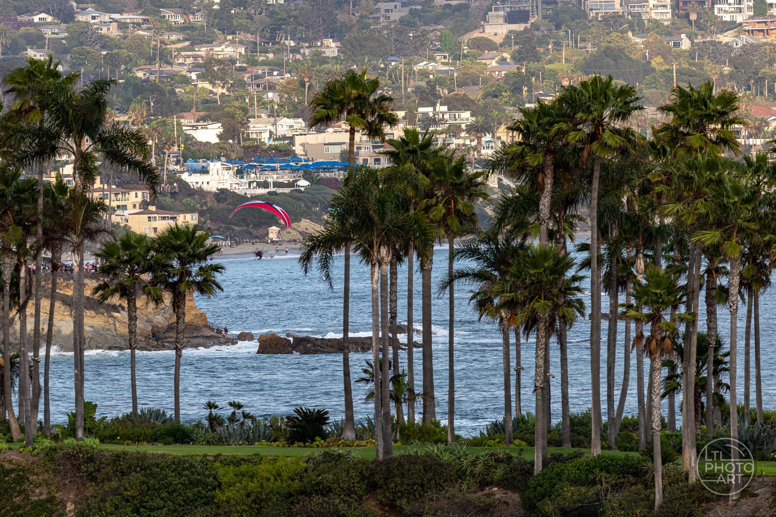 Telephoto view through palm trees toward Crescent Bay, a paraglider, coastal homes, and the Laguna Beach shoreline.