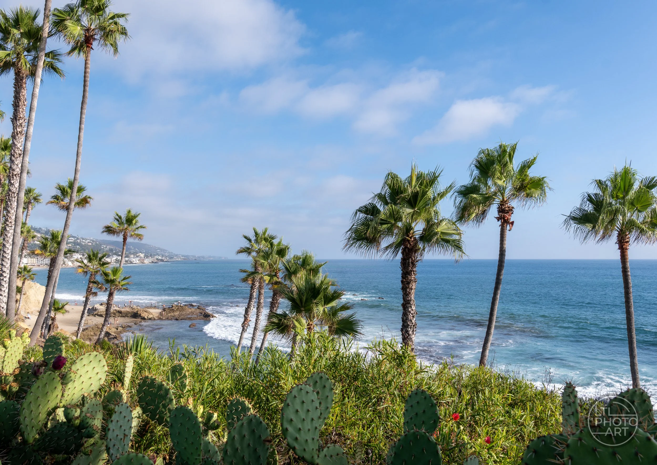 View from the path above Rockpile Beach in Laguna Beach, with palm trees, cactus, rocky tide pools, breaking waves, and the Pacific Ocean.