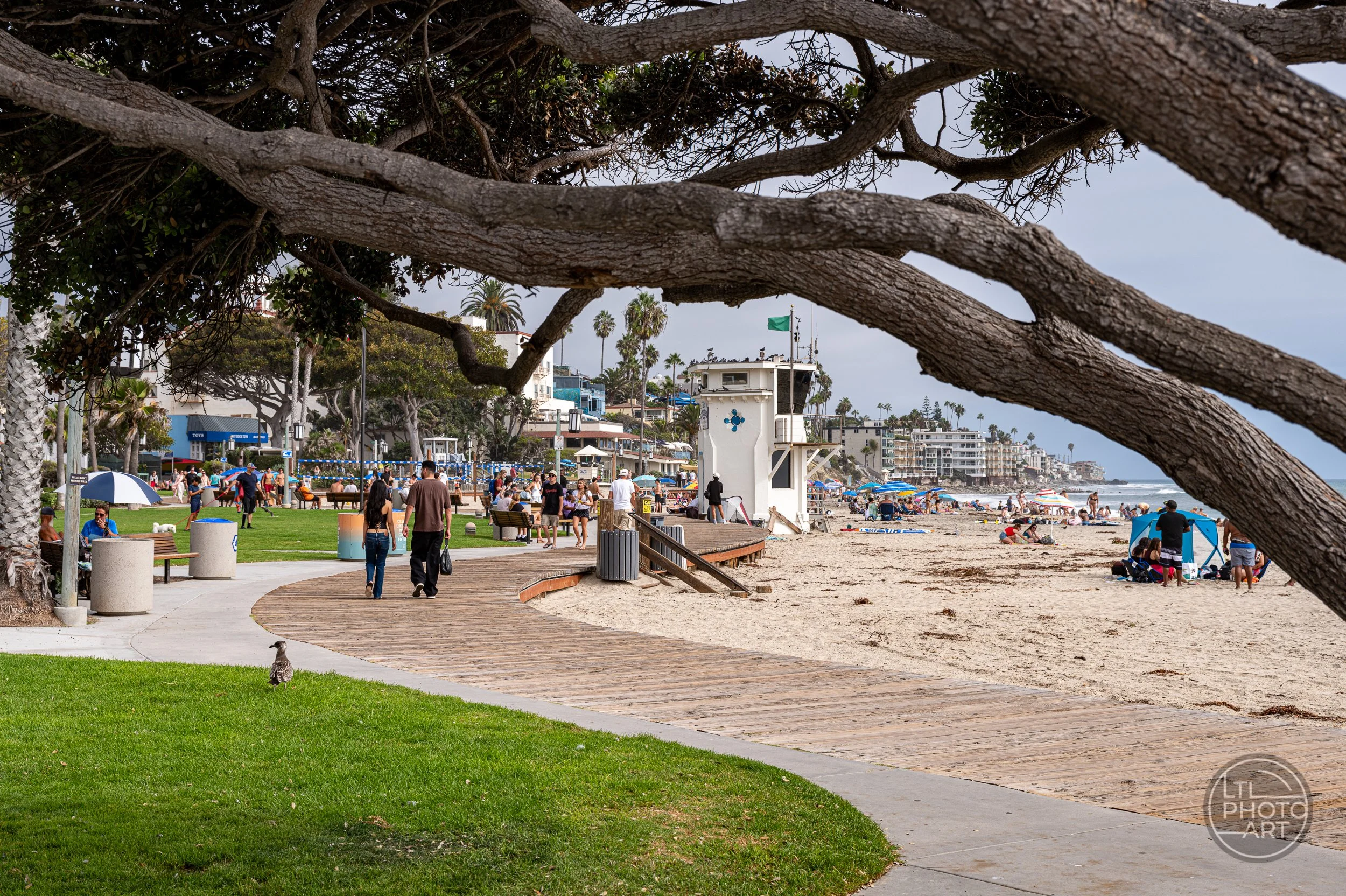 Curving path at Main Beach in Laguna Beach leading toward the iconic white lifeguard tower, with beachgoers, palm trees, and the Pacific coastline in the background.