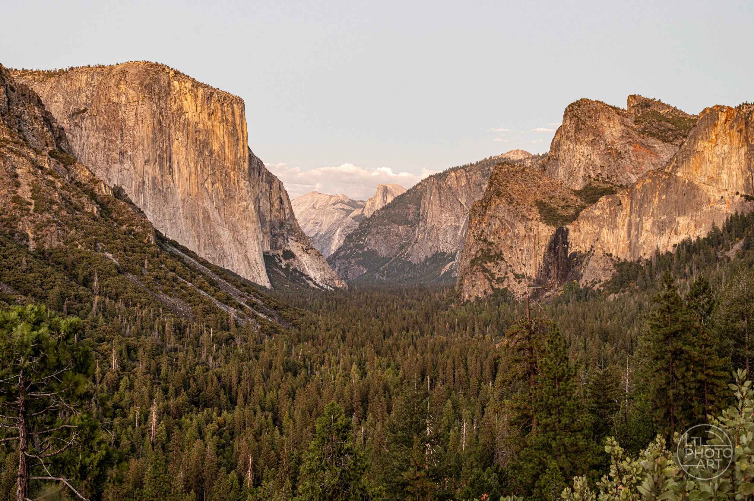 Panoramic landscape photograph of Yosemite Valley from Tunnel View, featuring El Capitan on the left, Half Dome in the distance, sunlit granite cliffs on the right, and a dense evergreen forest covering the valley floor.